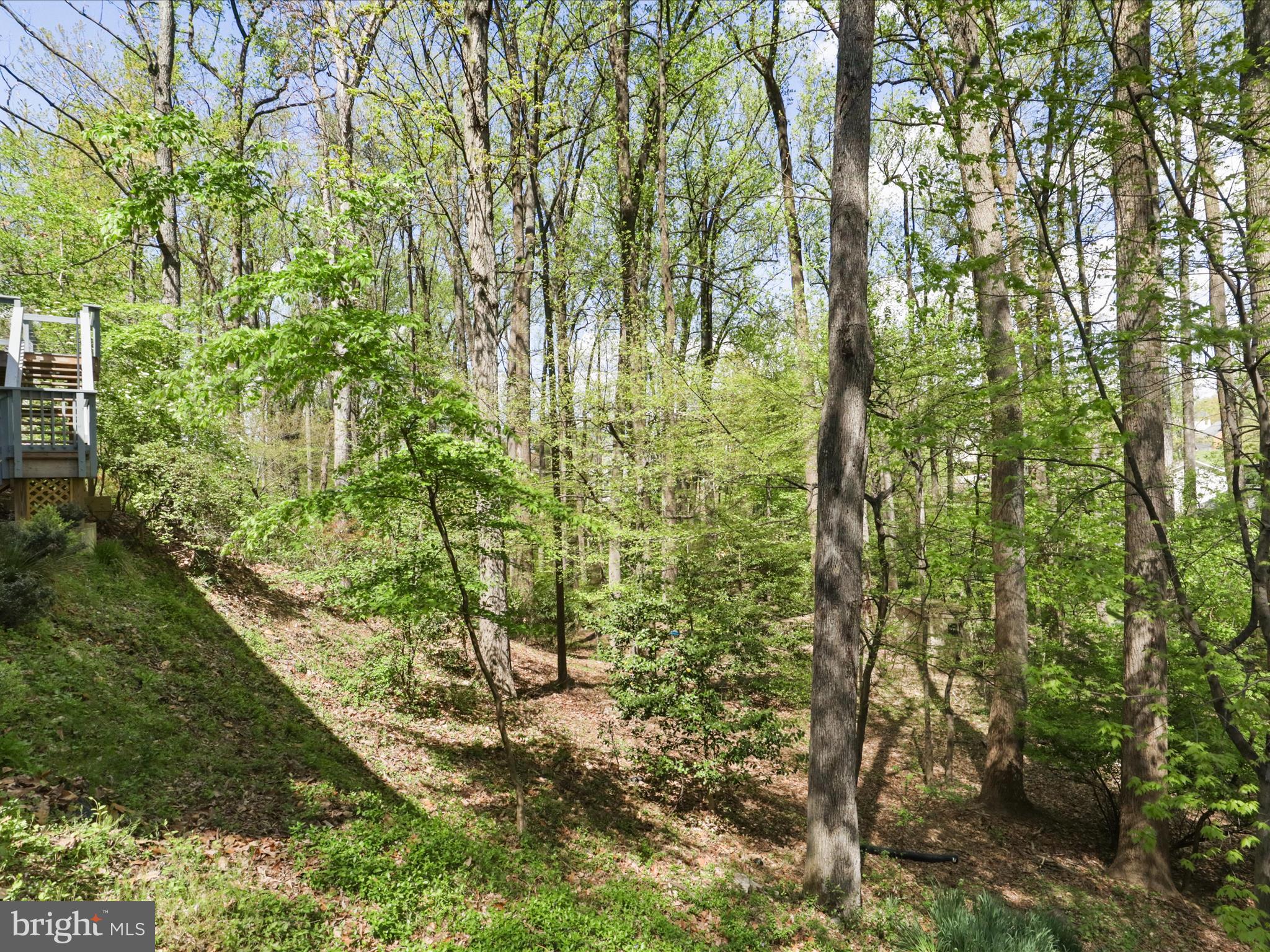 FRANKLIN FOREST - Residential