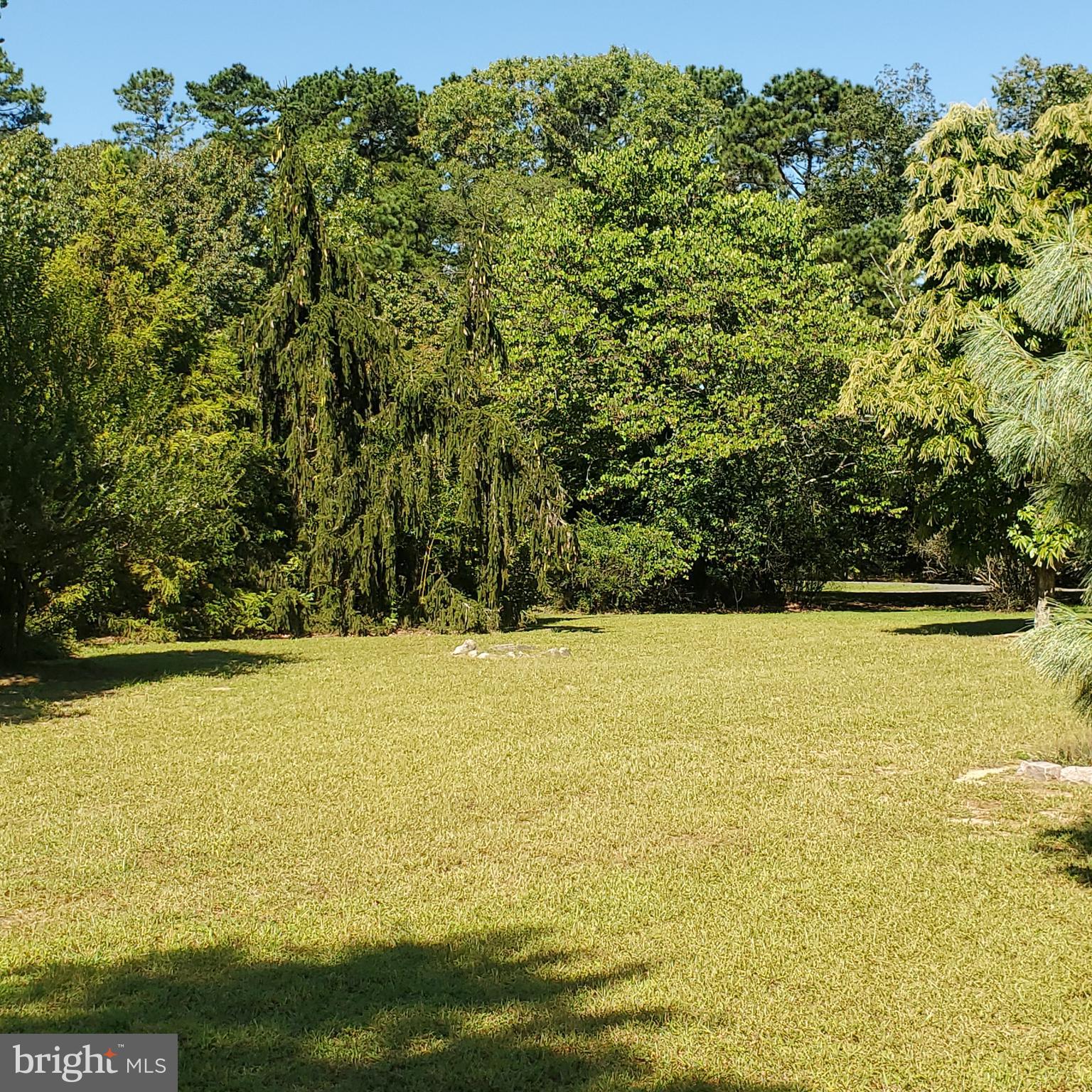 263 ALLOWAY FRIESBURG ROAD