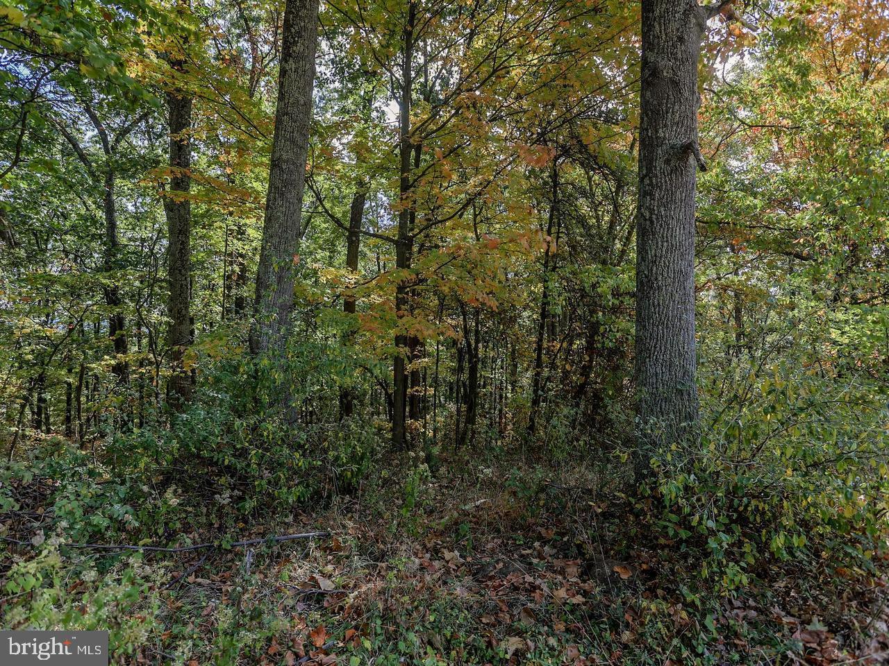 NONE AVAILABLE - Land