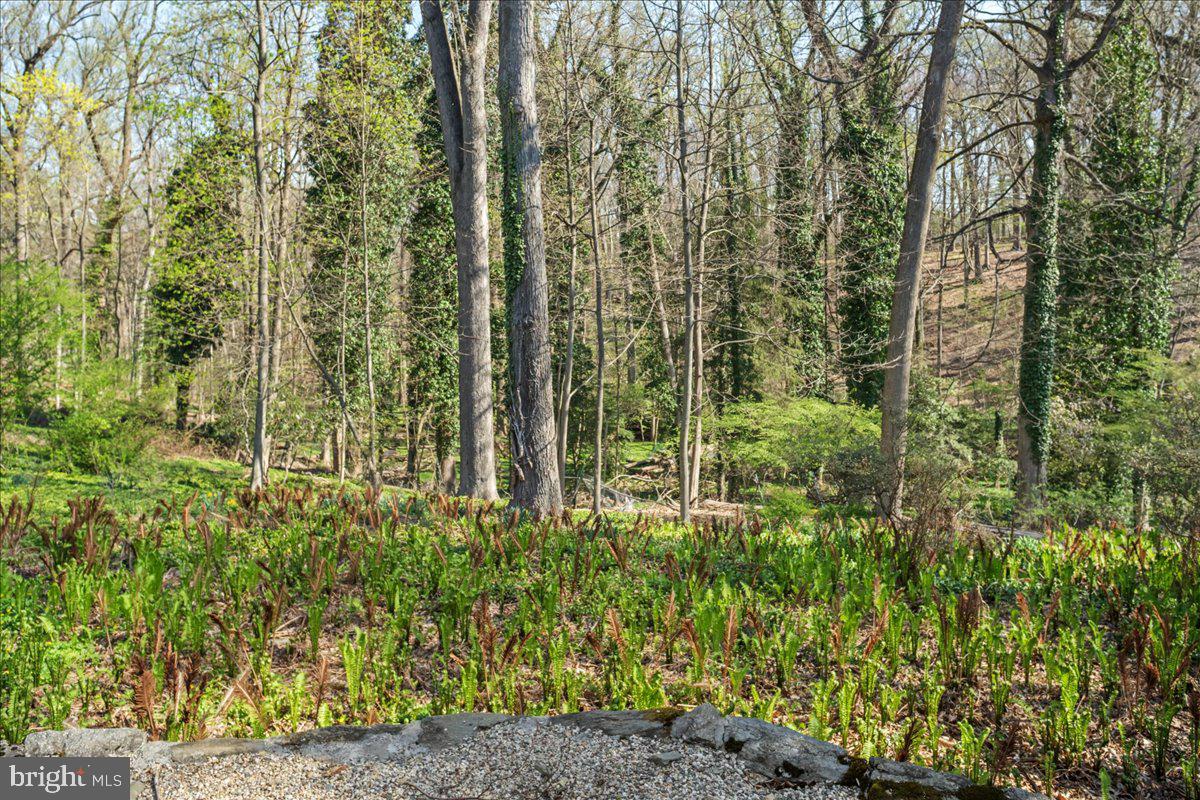 WYNDMOOR - Residential