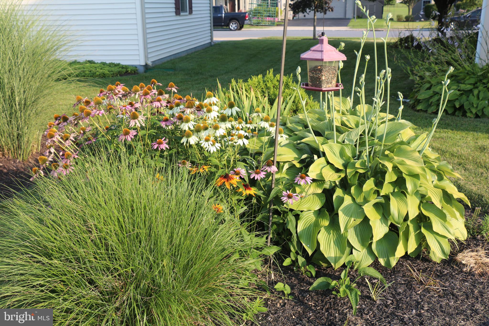 CLEARVIEW GARDENS - Residential