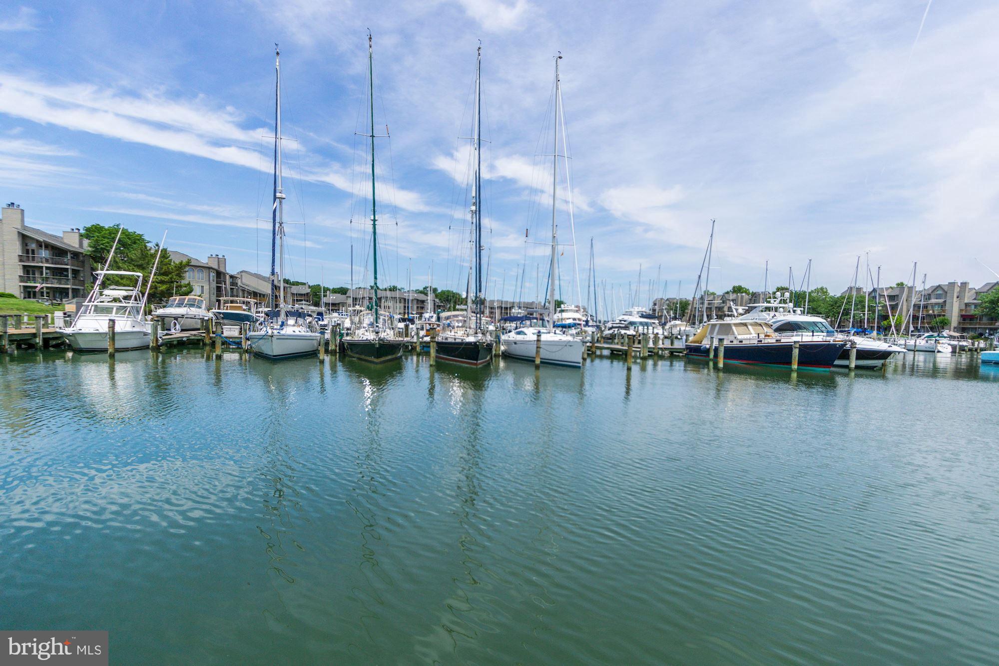 Treat yourself to luxury condominium living in this totally renovated unit in Chesapeake Harbour in Annapolis. From the wrap-around deck you can see the swimming pool and nearby tennis courts and oyster shell paths lead to all the activities the community has to offer such as two pools, two tennis courts, bike racks, a dinghy area out by the sandy beach and a fishing pier. The community is gated and there is a restaurant, the Beacon, which is perfect for sunset refreshments. There is magic inside the unit also. From the foyer step into the cozy main living area with a fireplace, access to the deck and luxury vinyl plank flooring that continues throughout the home. For the custom kitchen the resident will find soft-close cabinetry, pull out drawers, quartz counters, a Franke sink and faucet, stainless appliances, under cabinet lighting and an additional deck. Shutters complement both bedrooms and both bathrooms have been designed with special elements of quartz, cabinetry, and ceramic. Dogs considered on a case-by-case basis but no breed restricted dogs and no cats. Minimum 12 month lease but would prefer 18 month minimum.