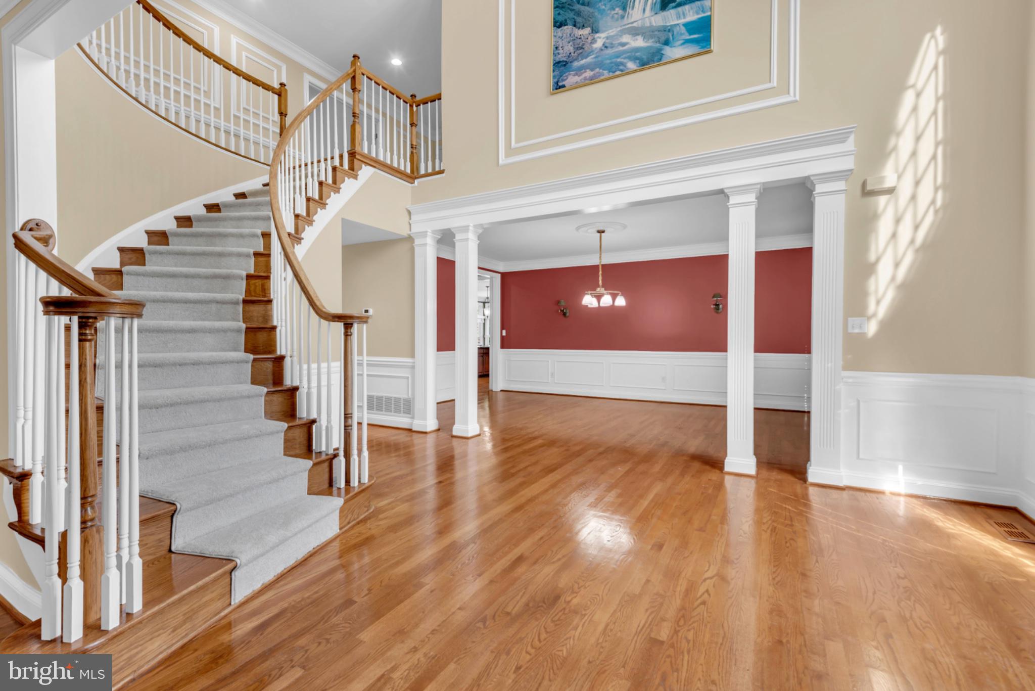 1206 SHELBY DALE LANE
