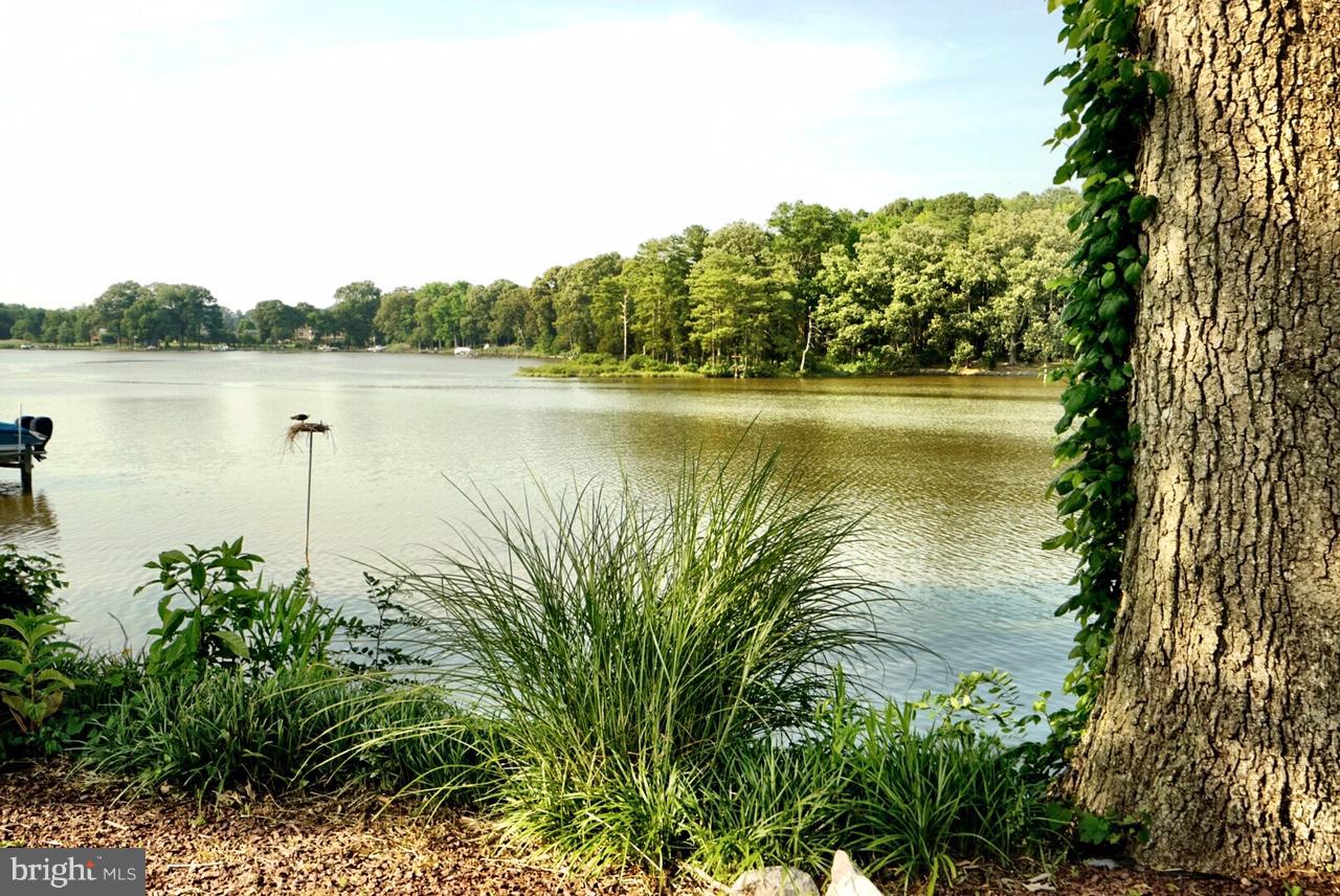 WYE HARBOR - Residential