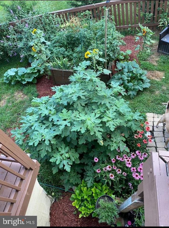 SPRING MILLS - Residential