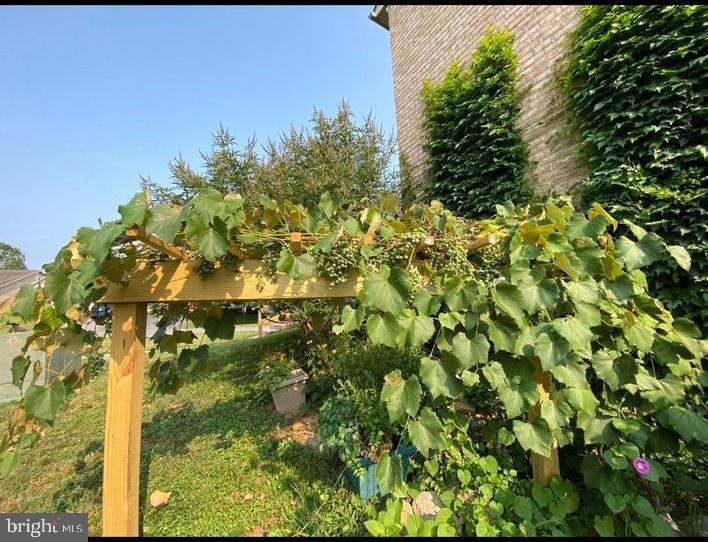 SPRING MILLS - Residential