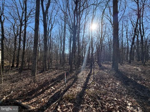 Vacant Land For Sale - 344 White Face Circle<br/> ZION GROVE, PA 17985