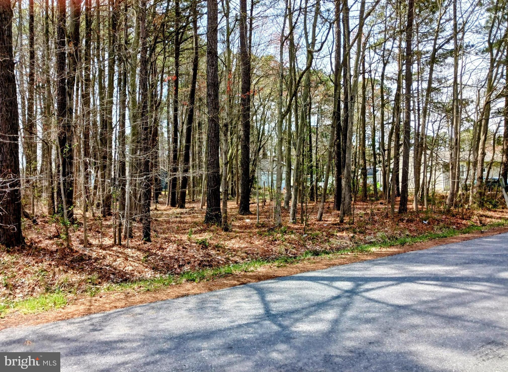 Looking for a fantastic place to build your new home? This lot is nestled in a quiet, well-established residential neighborhood on Maryland's beautiful Eastern Shore! Land lot in sought after Kent Island Estates community. This lot offers tranquility and the beauty of mature trees, all while being located to a variety of local amenities. Close to marinas, boating and water activities, restaurants, shopping, medical, Route 50, schools, Chesapeake Bay Bridge, General Aviation Airport and so much more. This lot is in the South Kent Island (SKI) Sewer Program. Seller's current SKI Assessment fee is $126/quarter. Kent Island Estates (KIE) has an optional HOA. All Kent Island Estate property owners are members of the Road Association with mandatory dues of $10/lot/year. Don't miss out on this rare opportunity to secure a piece of beautiful real estate in a highly desirable area!