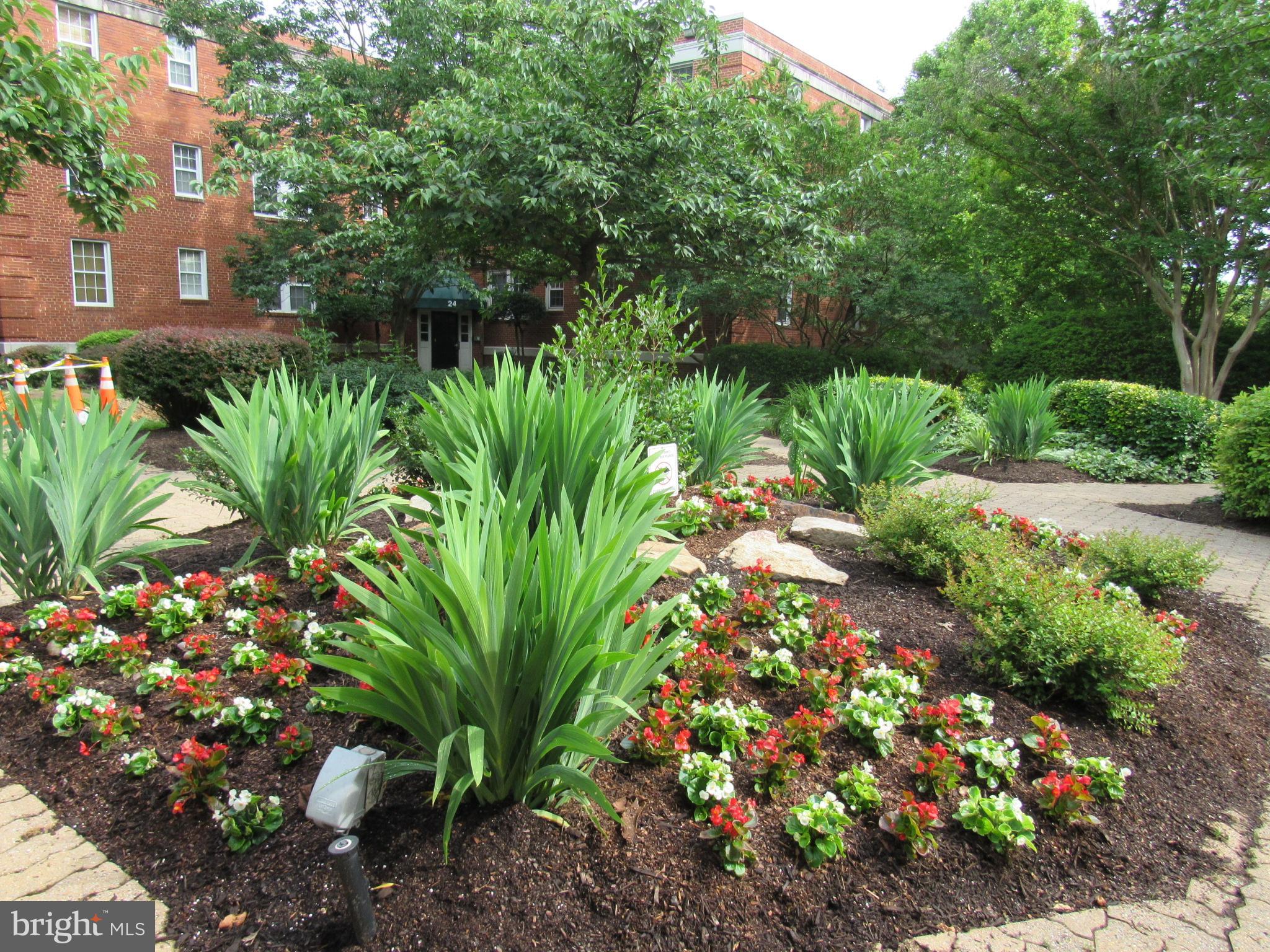 ARBORS OF ARLINGTON - Residential Lease