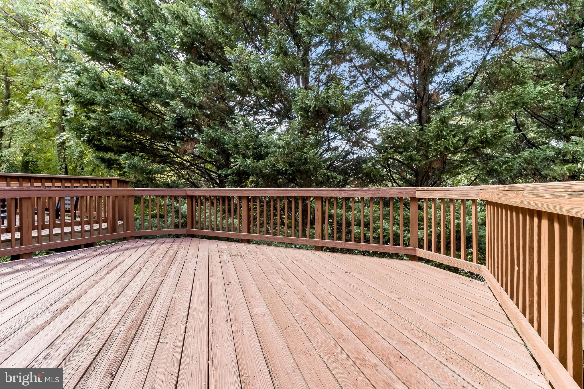 WHITLEY PARK CONDOMINIUM - Residential