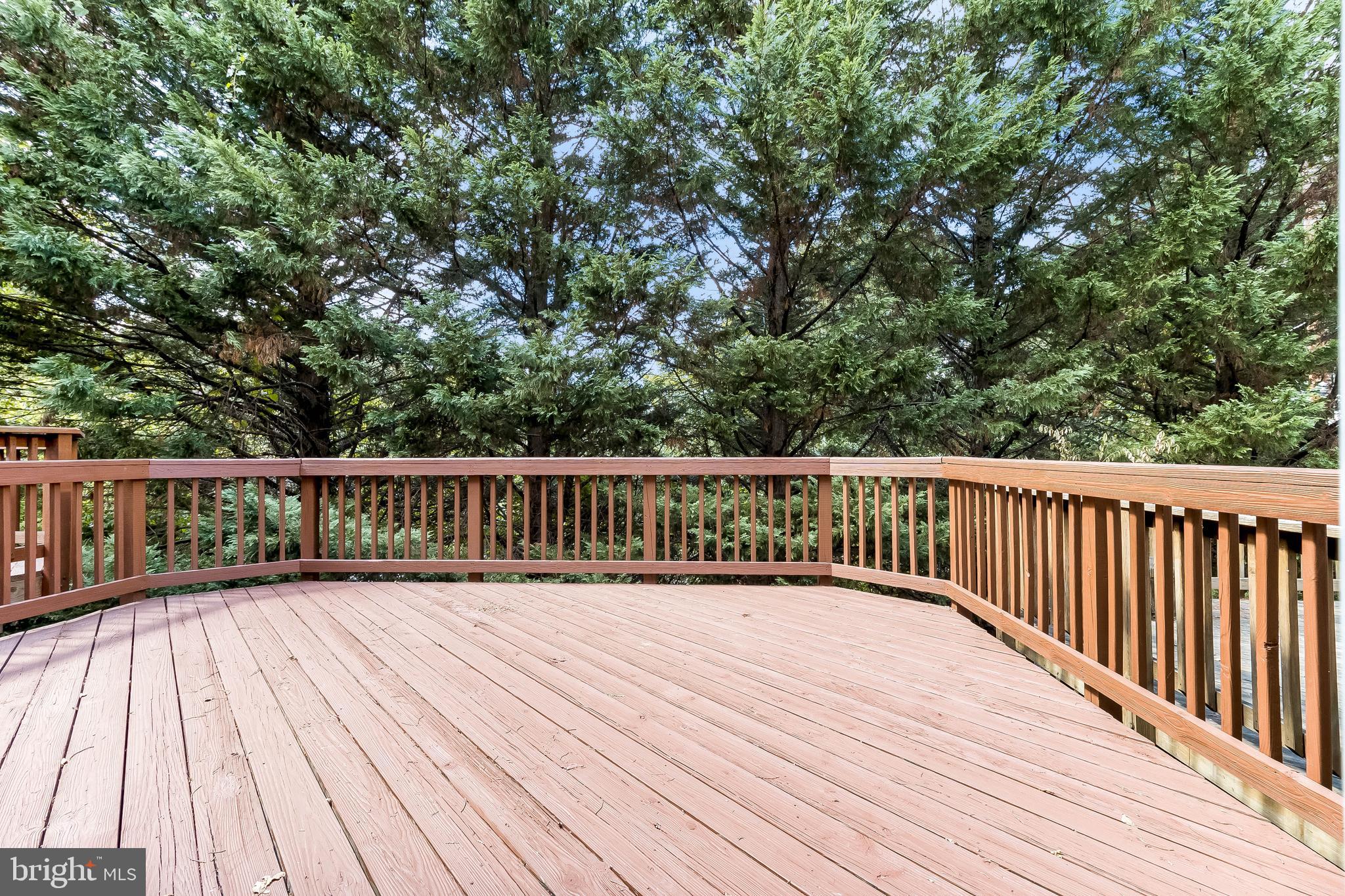 WHITLEY PARK CONDOMINIUM - Residential