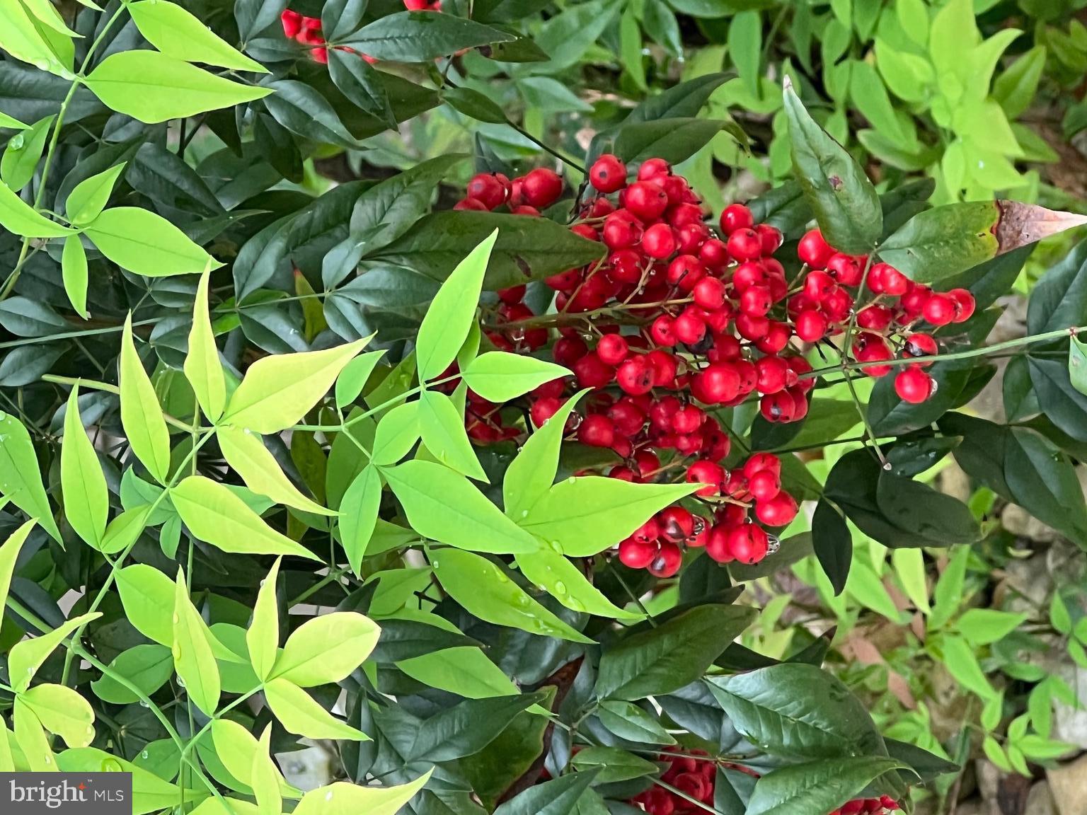 CAREFREE ACRES - Residential