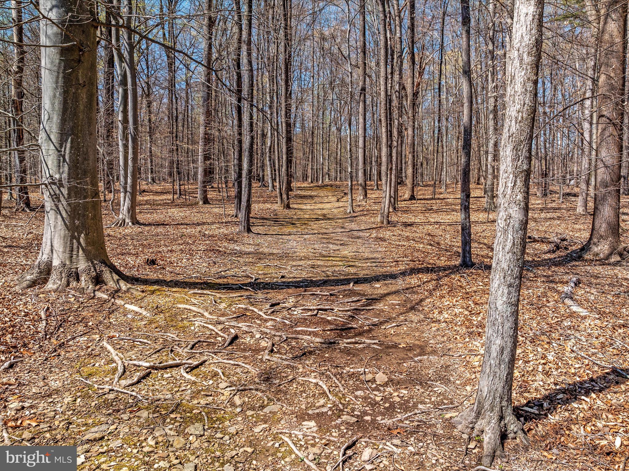 CAREFREE ACRES - Residential