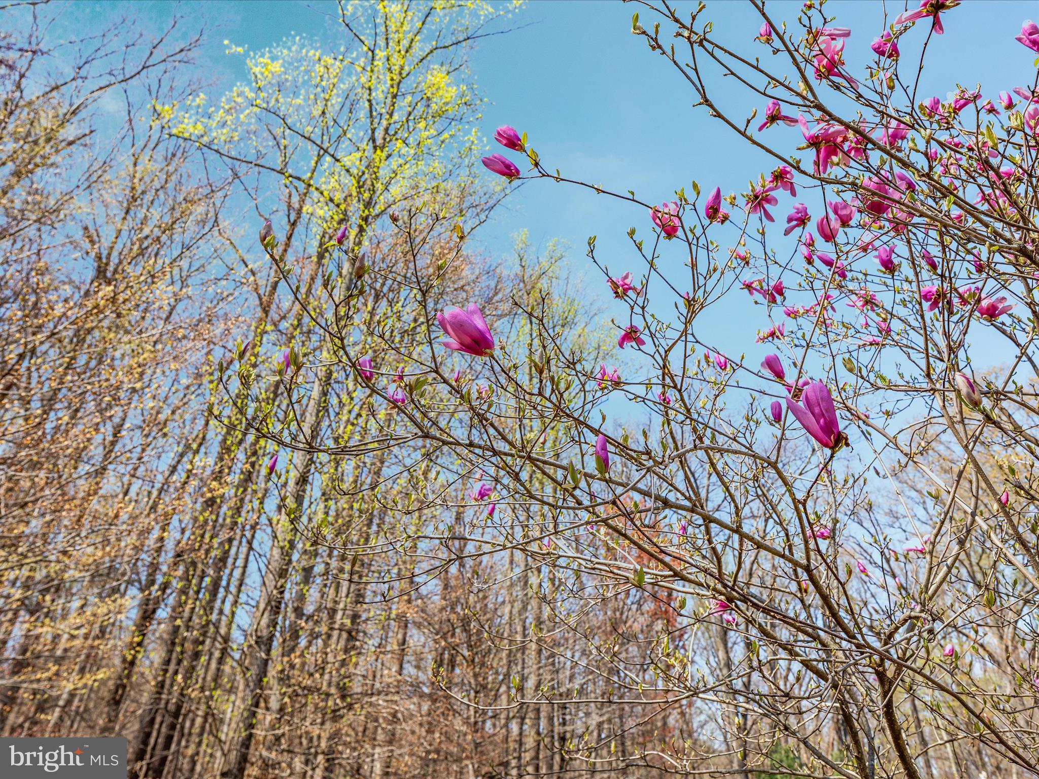 CAREFREE ACRES - Residential