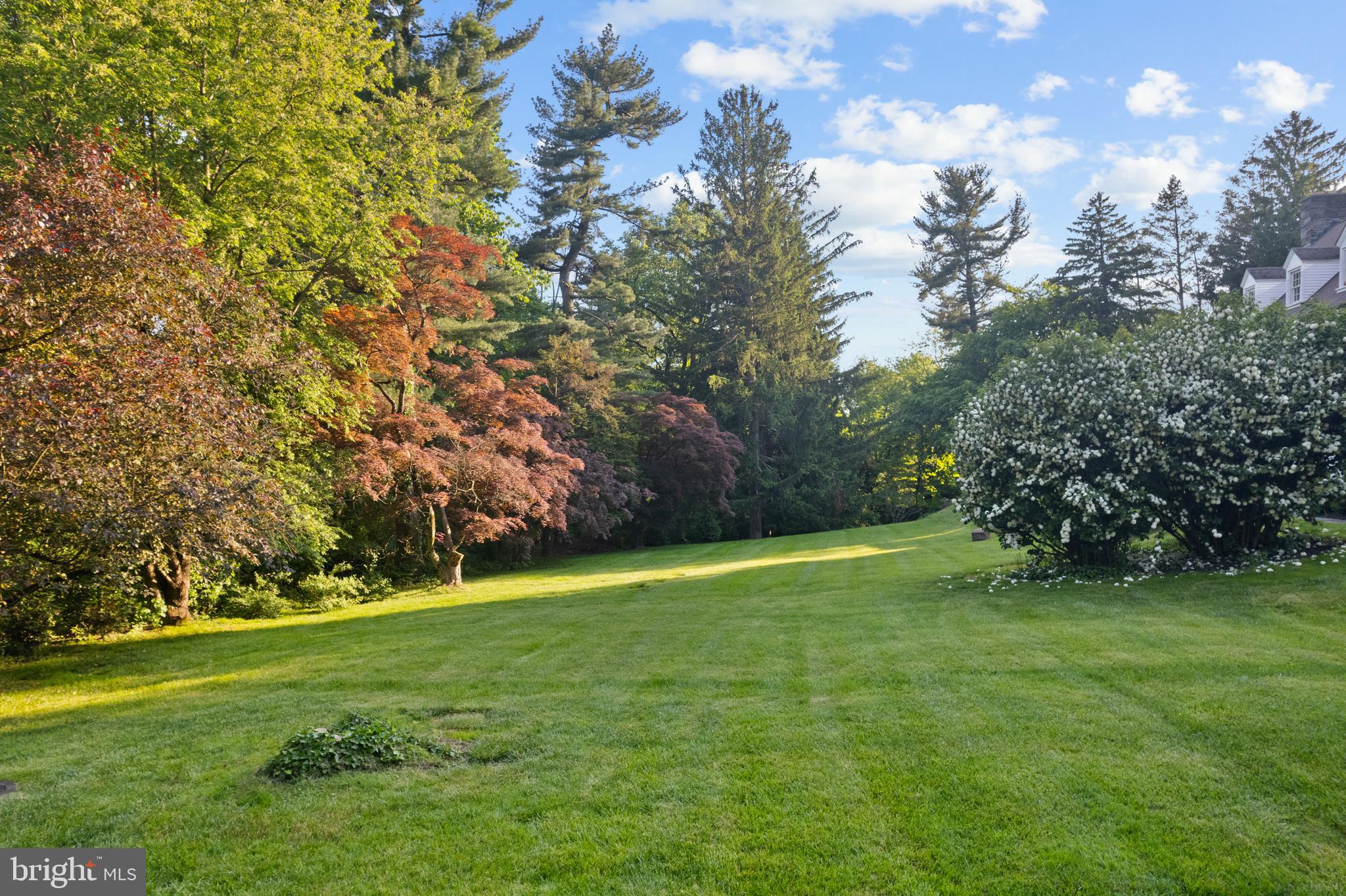 CHESTNUT HILL - Residential