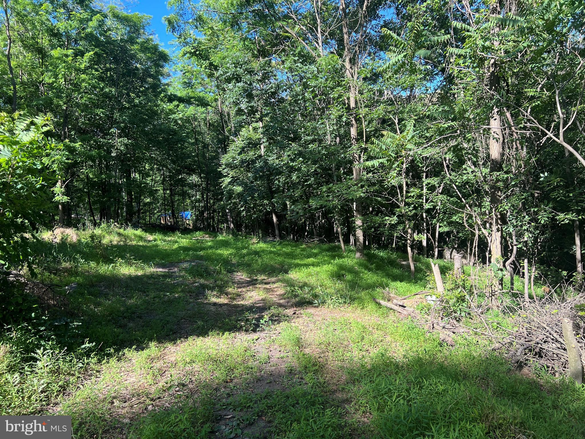 Enjoy a little bit of peace and tranquility on this 2 acre lot that backs to over 20,000 acres of Sleepy Creek Wildlife management area. Whether you are looking for land to build your forever home or something to use as a weekend get away/vacation spot, this parcel has you covered. This lot is perc approved and has been surveyed.