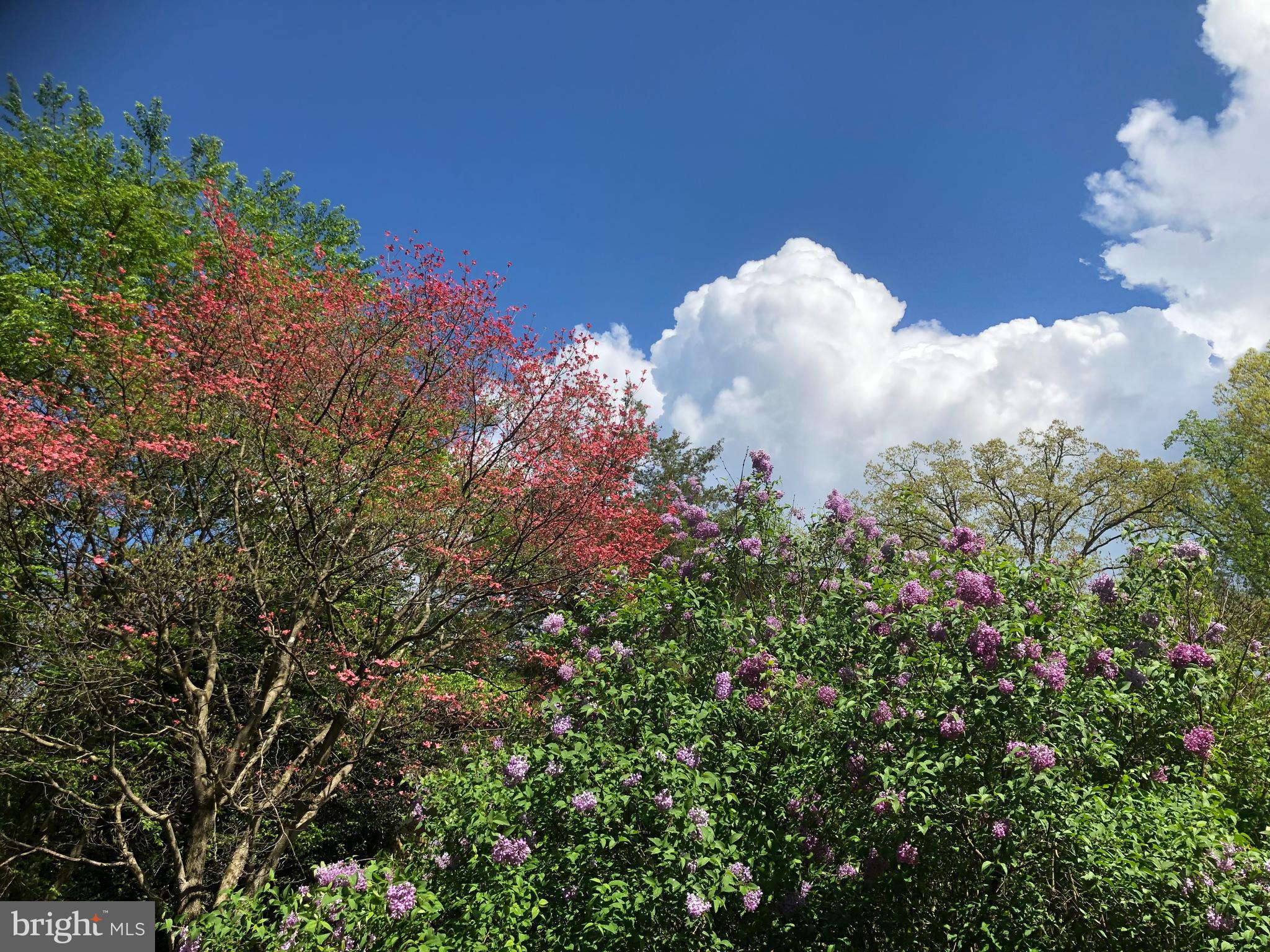 POTOMAC OVERLOOK - Residential
