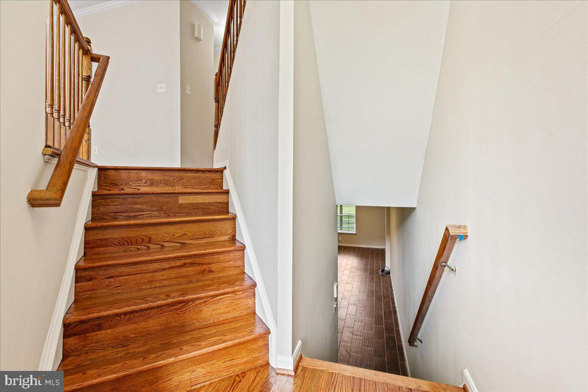 KINGSTOWNE - Residential Lease