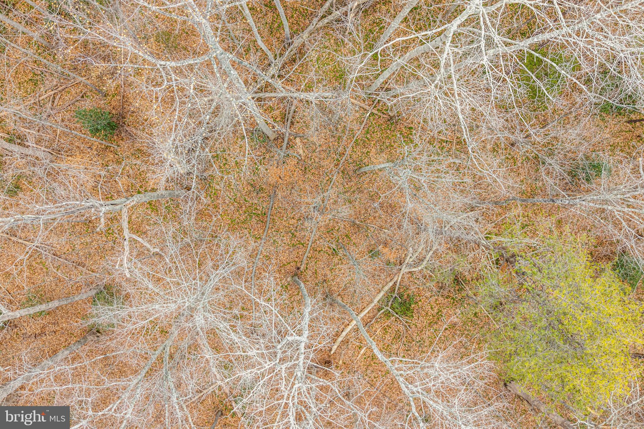 HARTLAKE ESTATES - Land