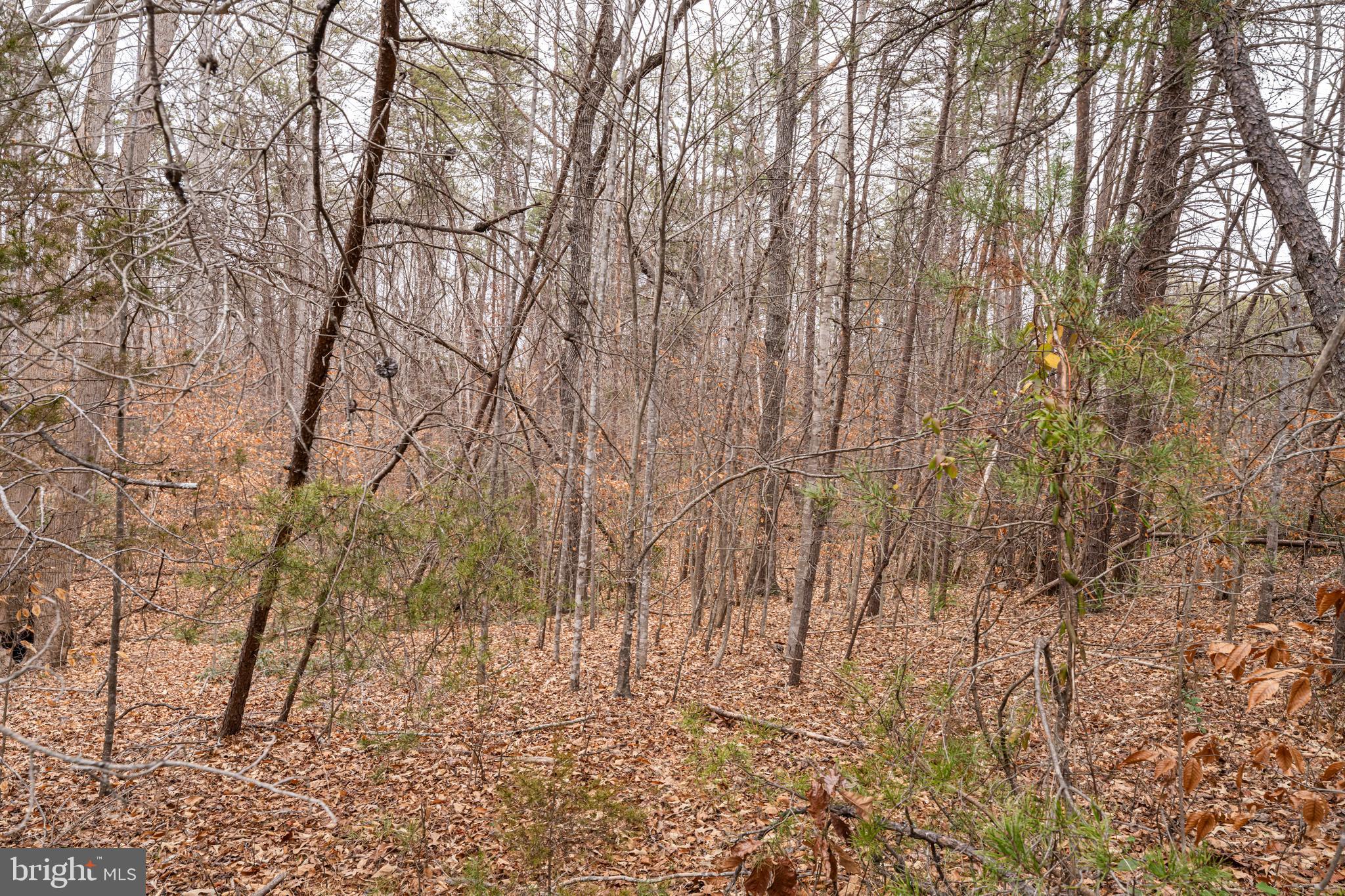 HARTLAKE ESTATES - Land