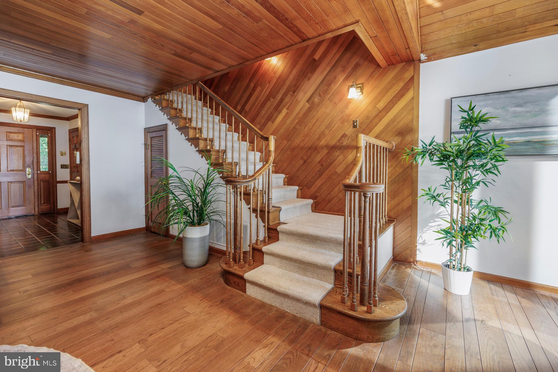 DEEP NECK - Residential