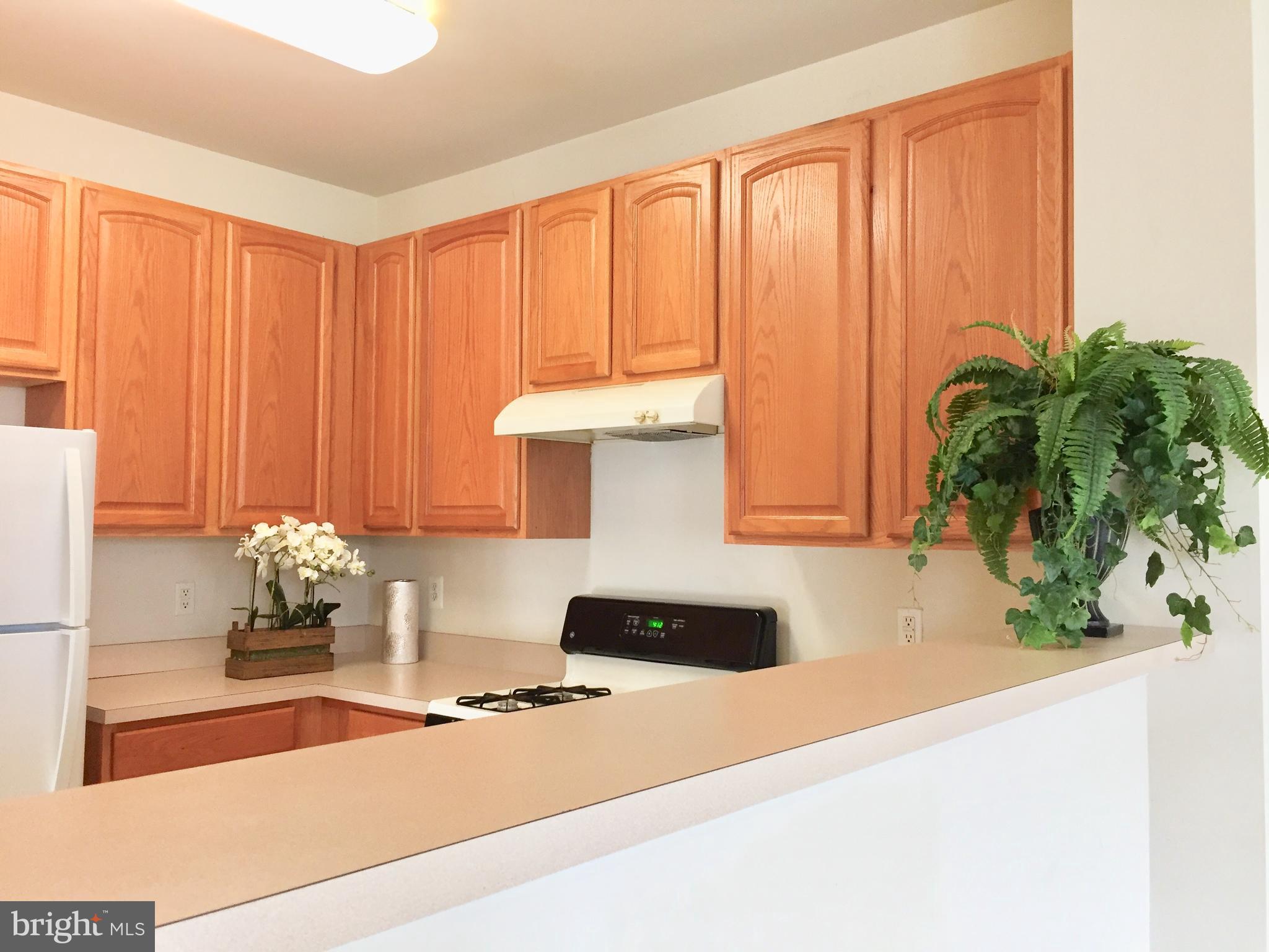 BRAEMAR - Residential Lease