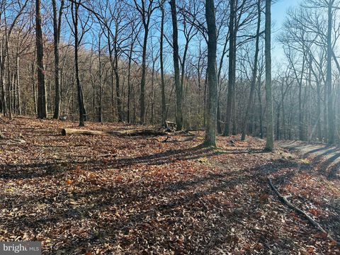 Vacant Land For Sale - LOT 18 SEC 8 Butterfly Lane<br/> SLANESVILLE, WV 25444