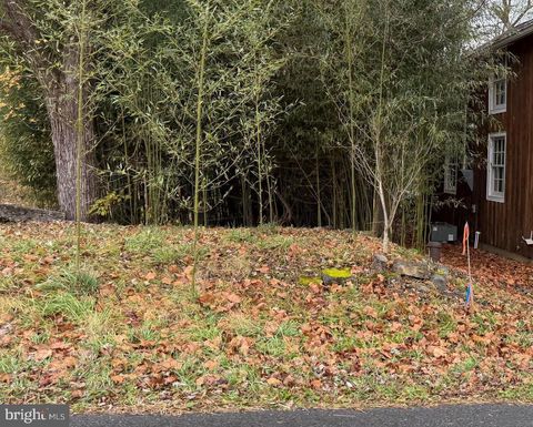 Vacant Land For Sale - Millwood Road<br/> BOYCE, VA 22620