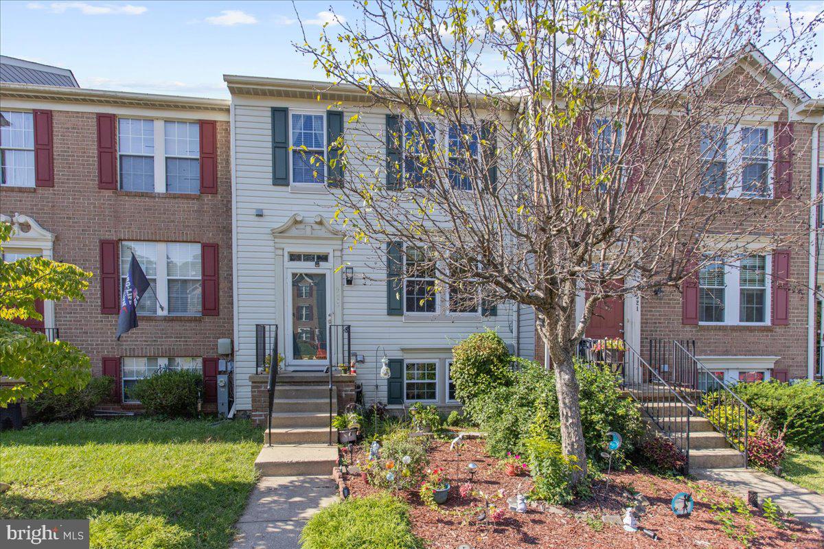CHESTNUT HILL COVE - Residential