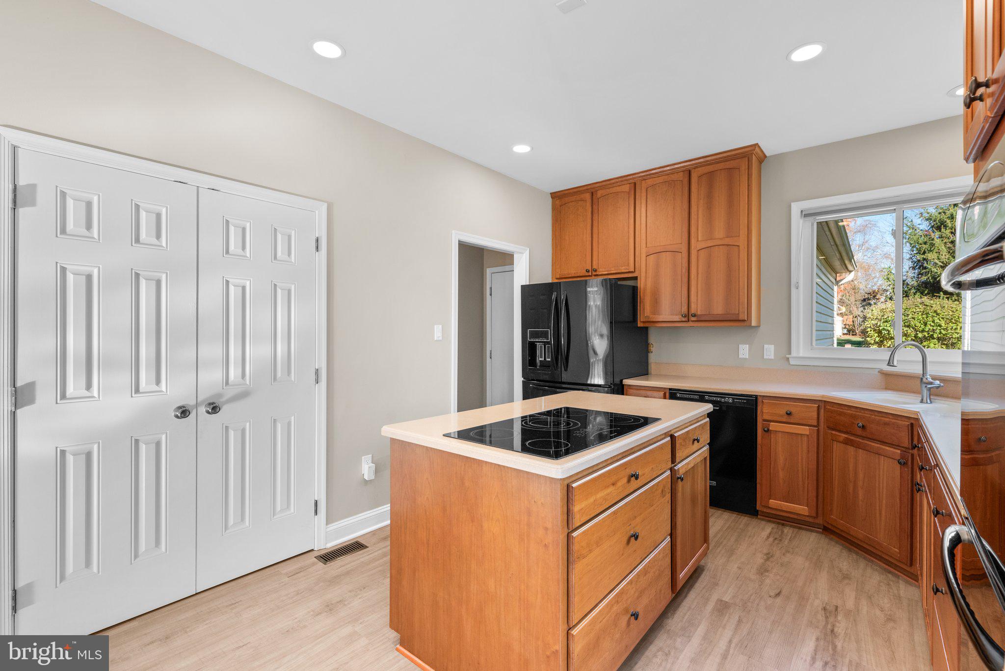 LAKEVIEW AT BUCKSKIN RIDGE - Residential