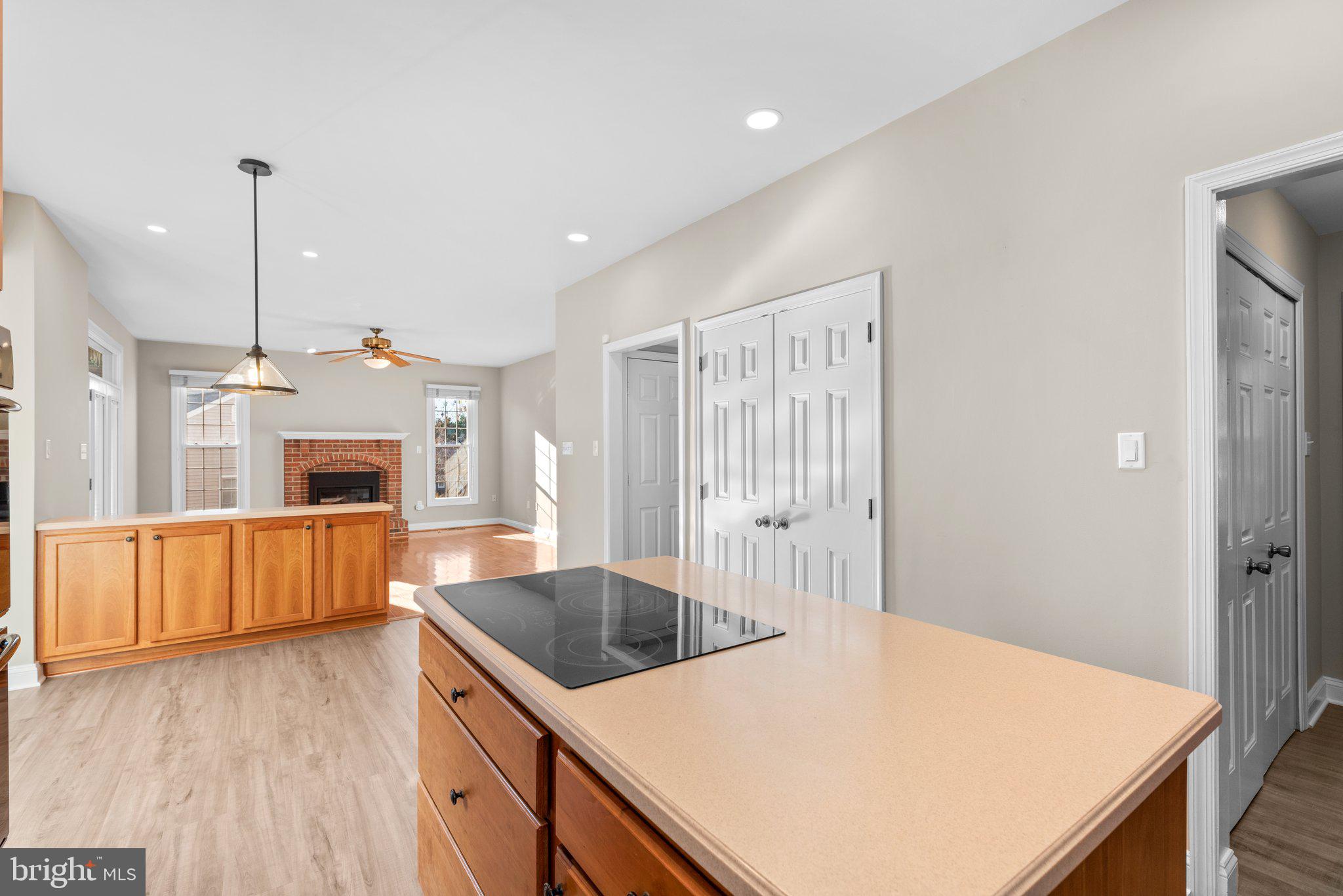 LAKEVIEW AT BUCKSKIN RIDGE - Residential