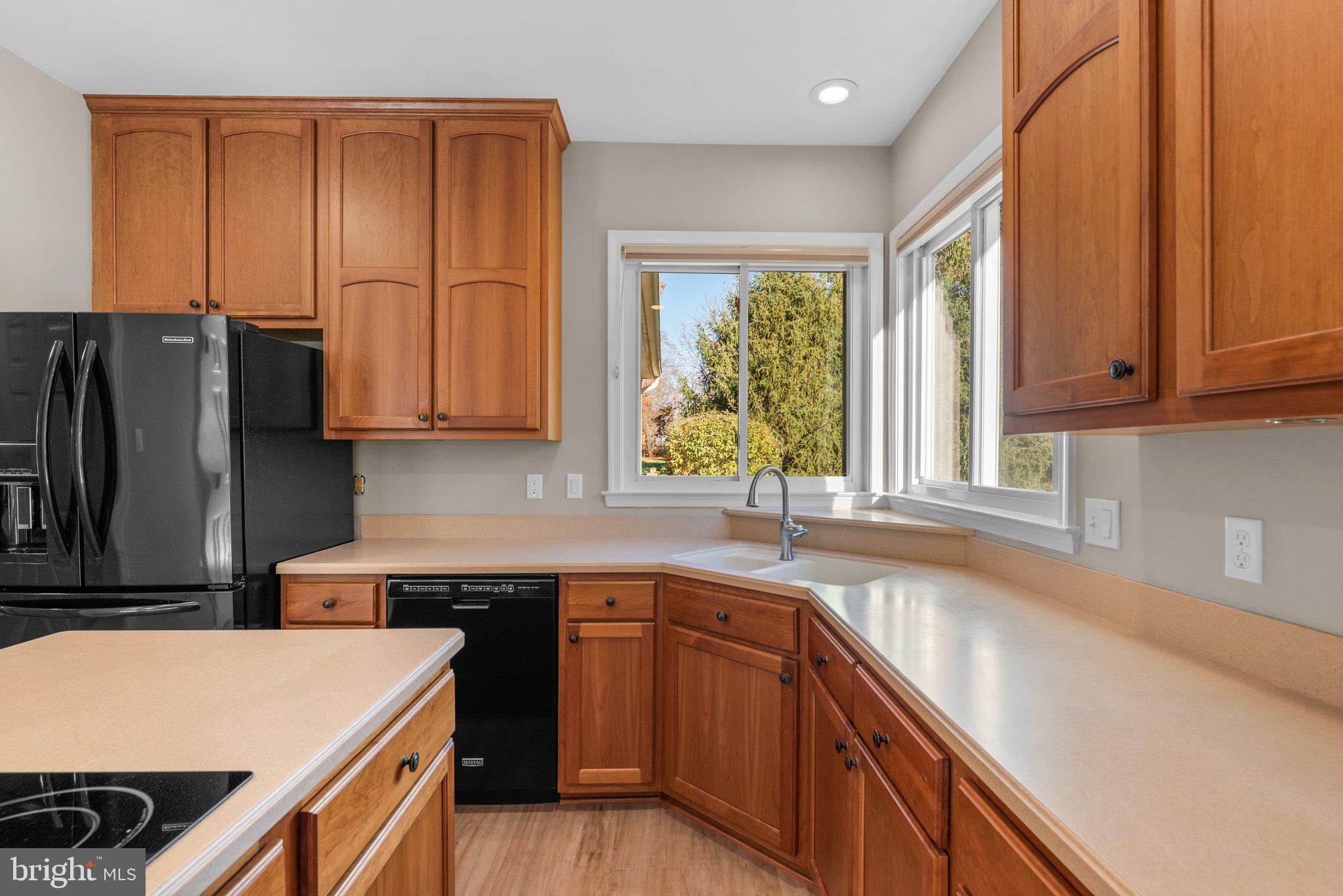 LAKEVIEW AT BUCKSKIN RIDGE - Residential