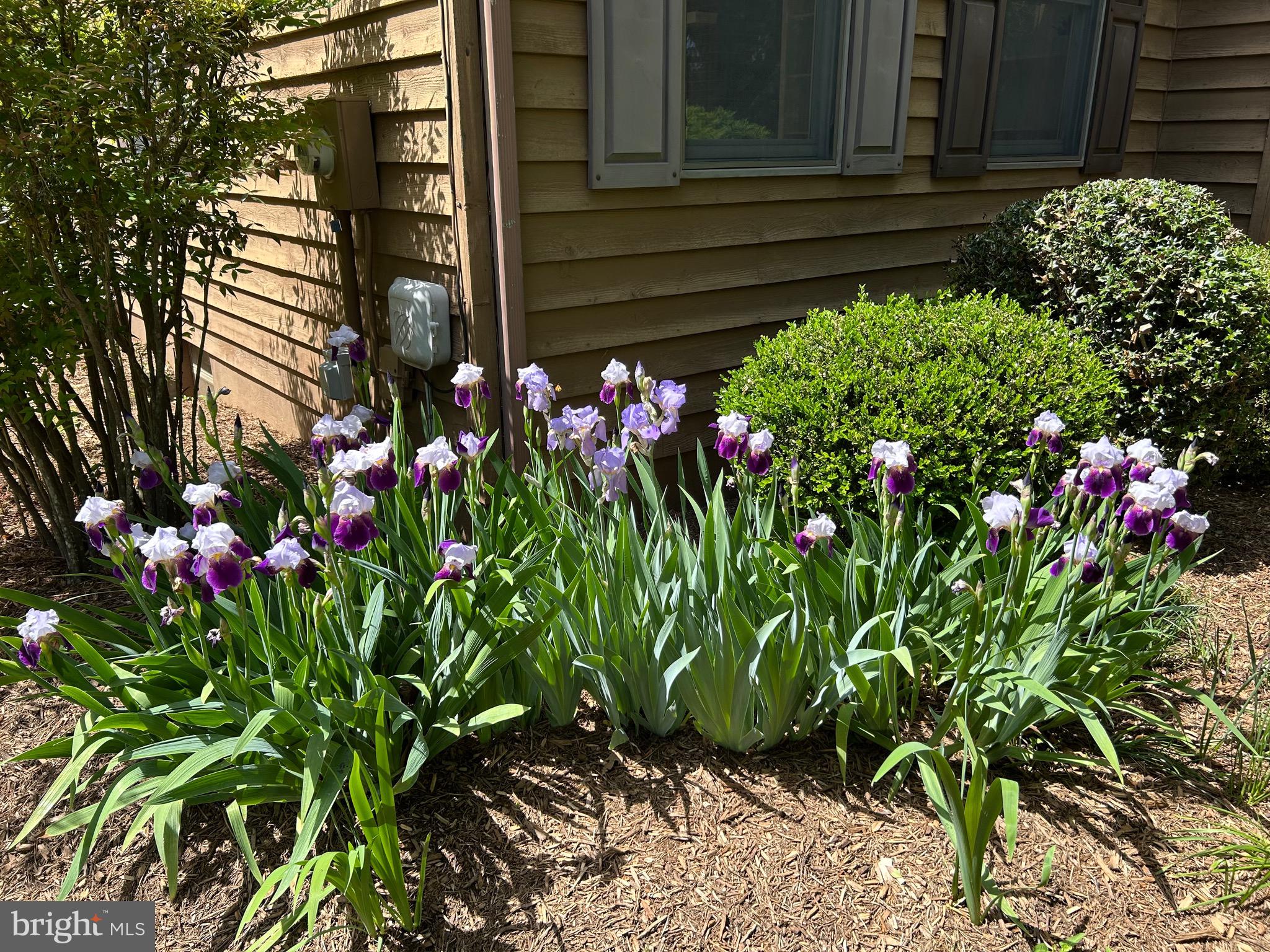 MALVERN OF MADISON - Residential