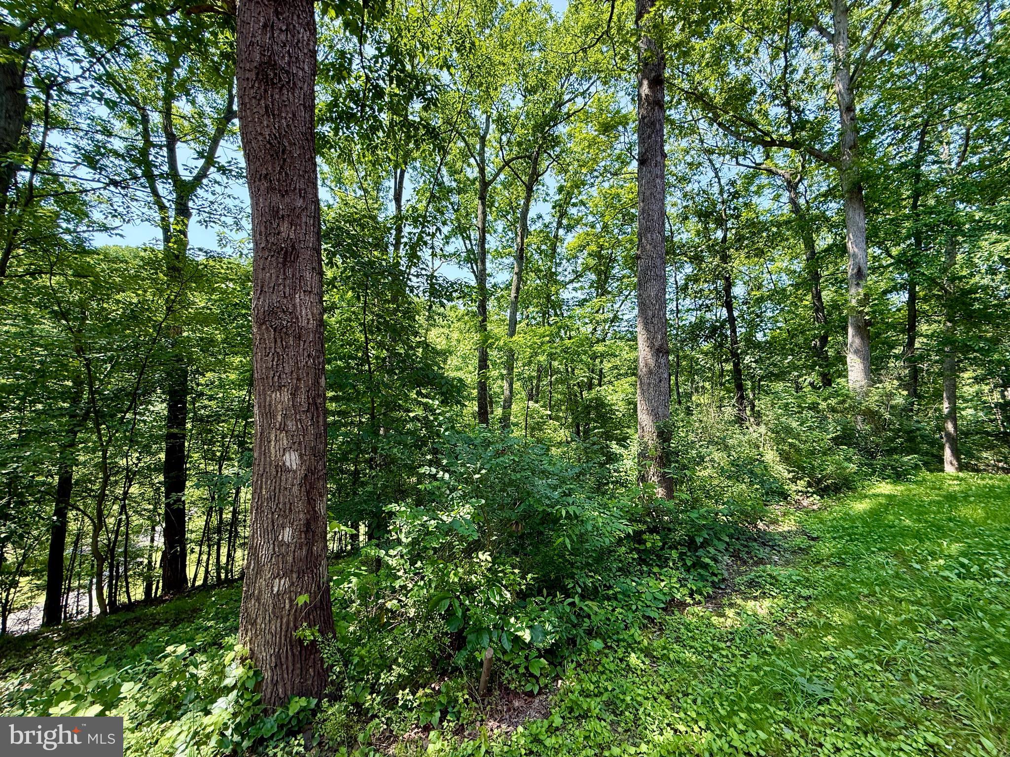 THE WOODS - Residential