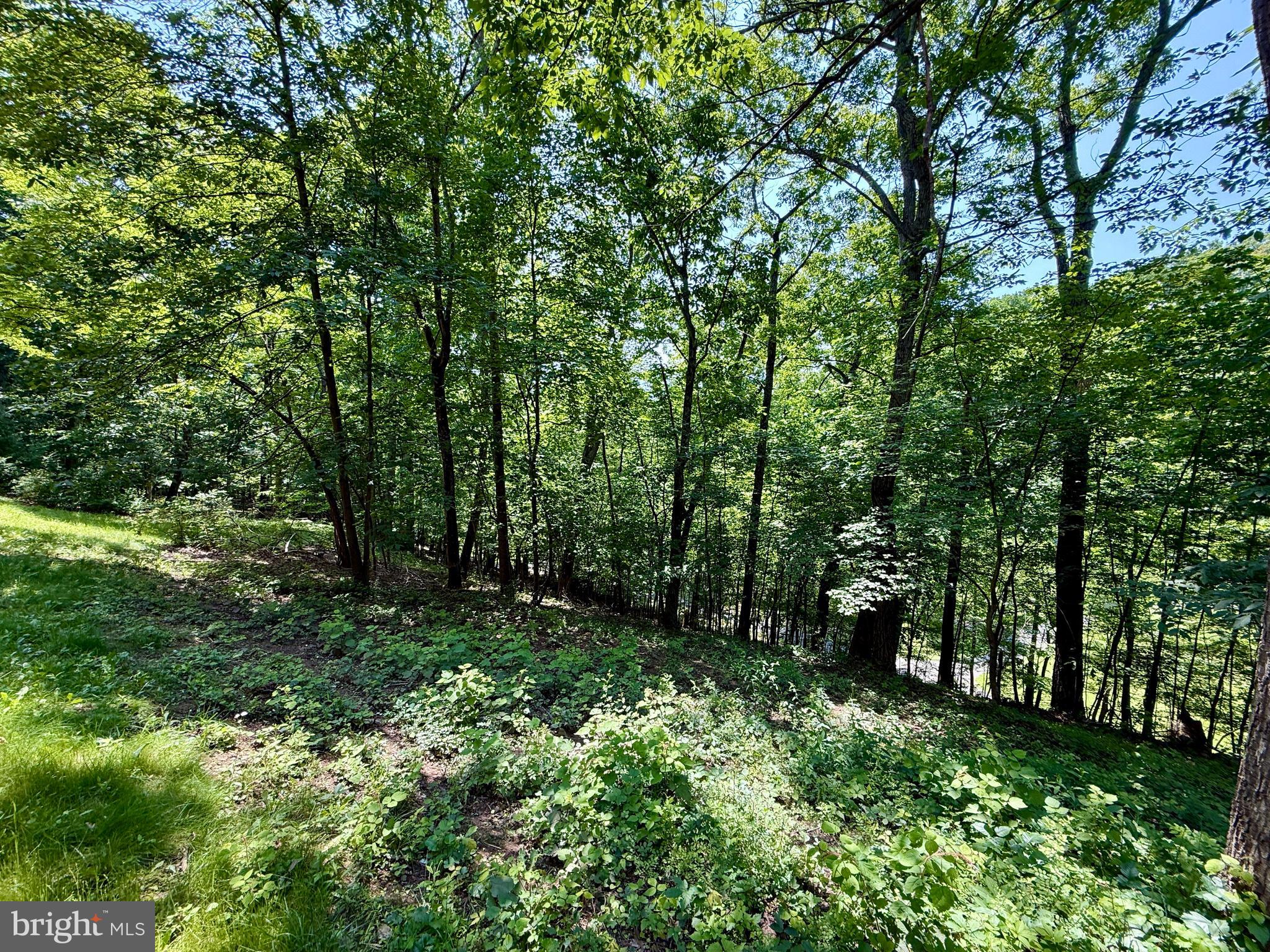 THE WOODS - Residential