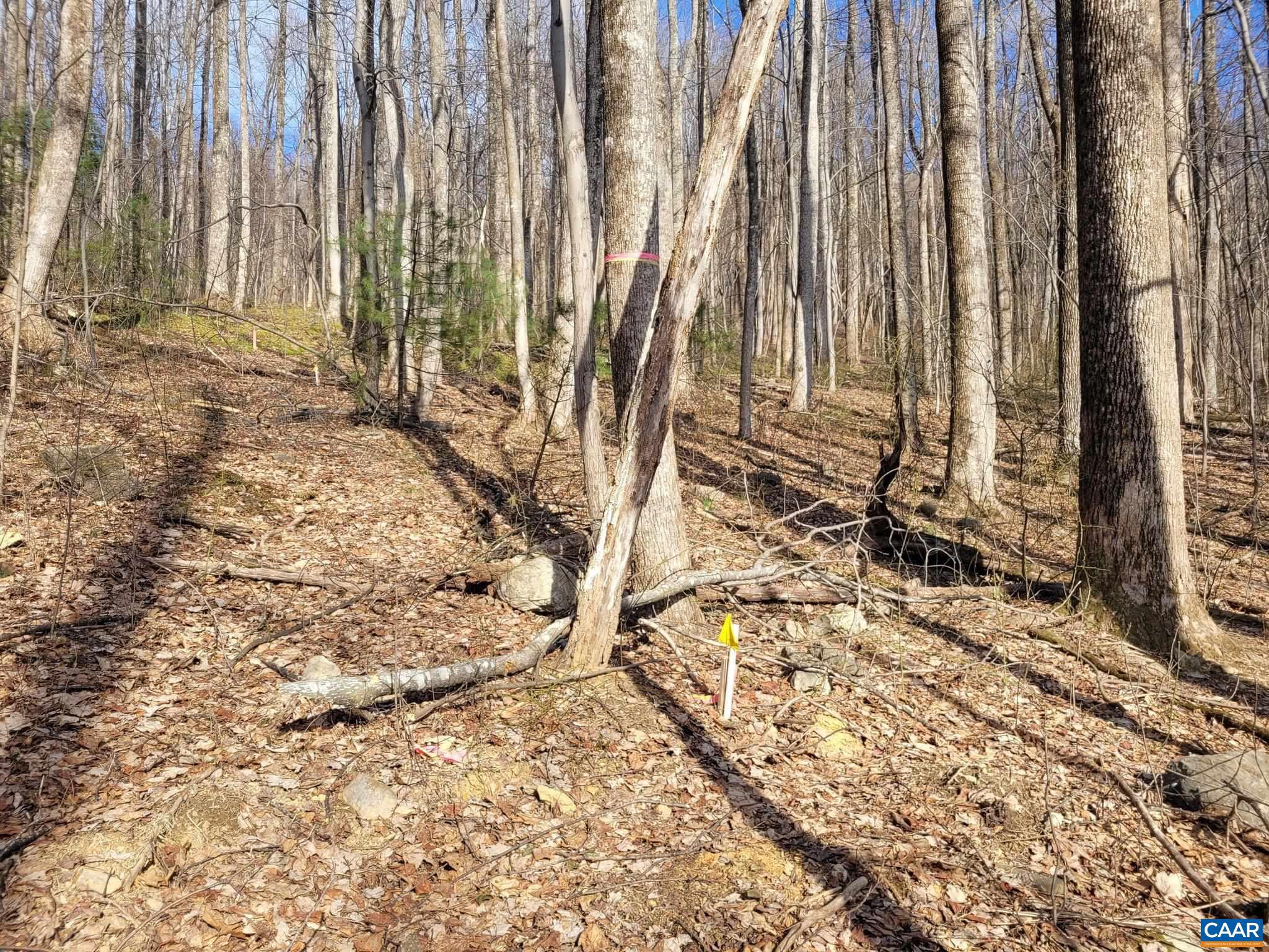 NONE AVAILABLE - Land