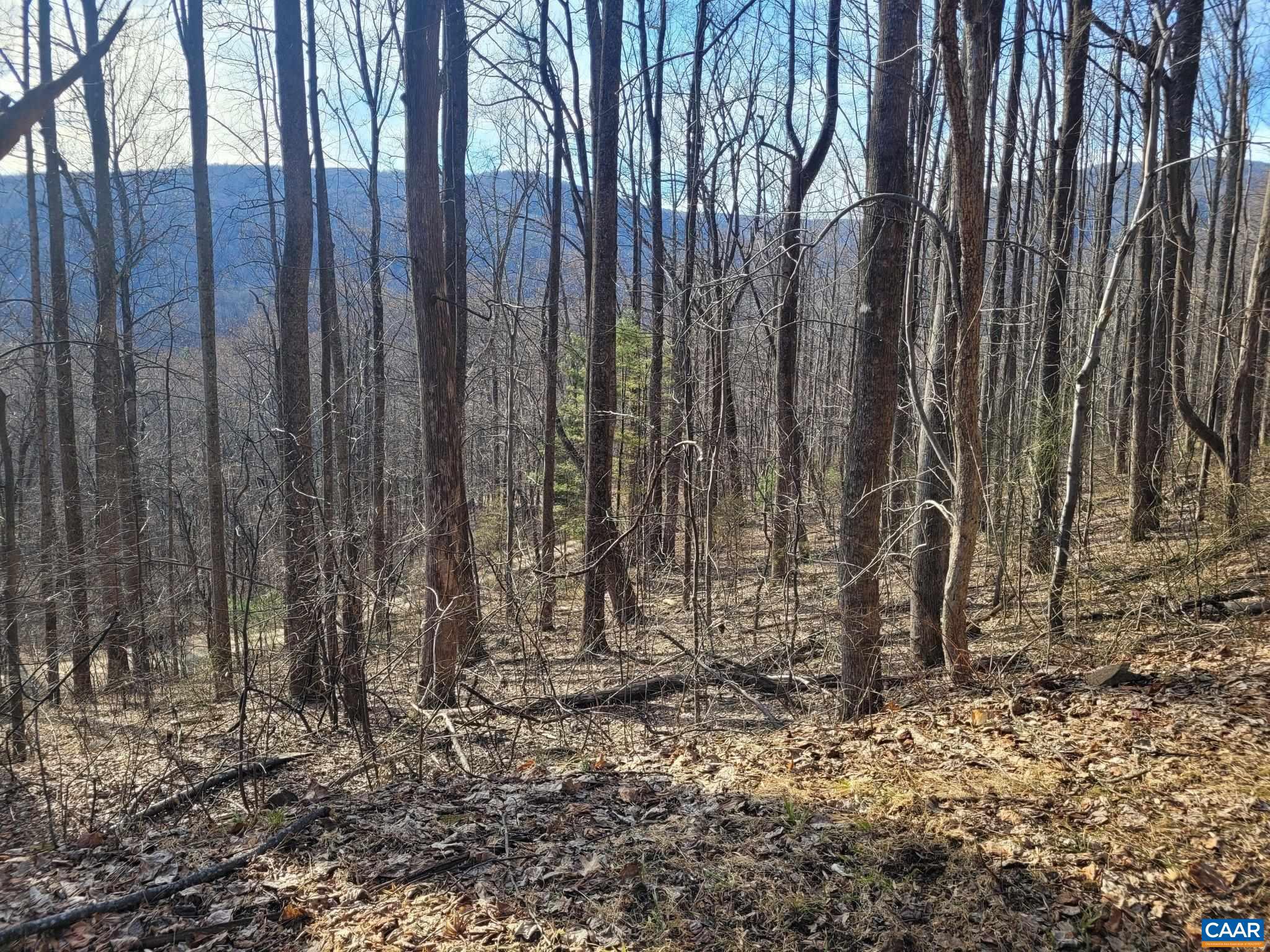 NONE AVAILABLE - Land