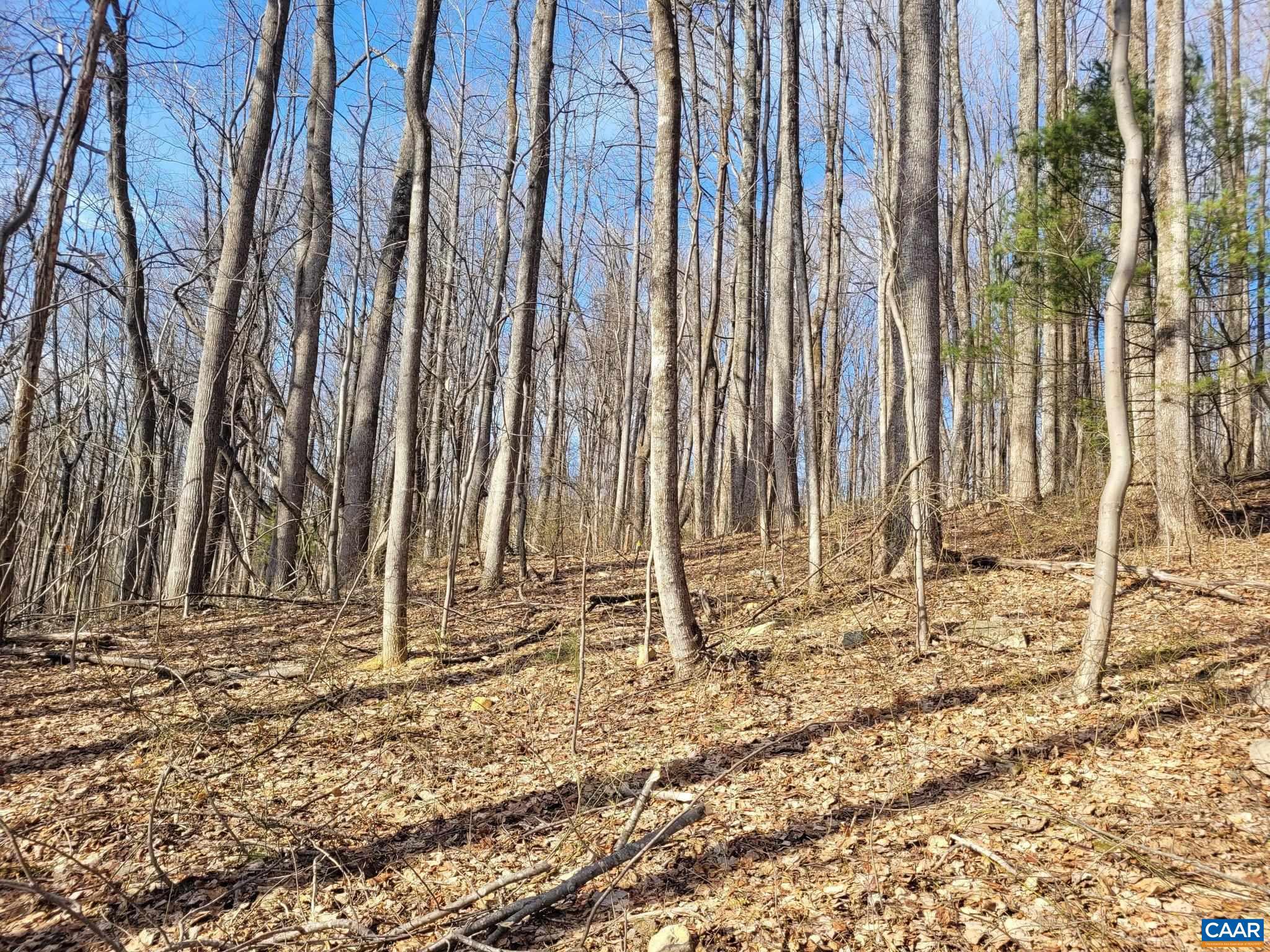 NONE AVAILABLE - Land