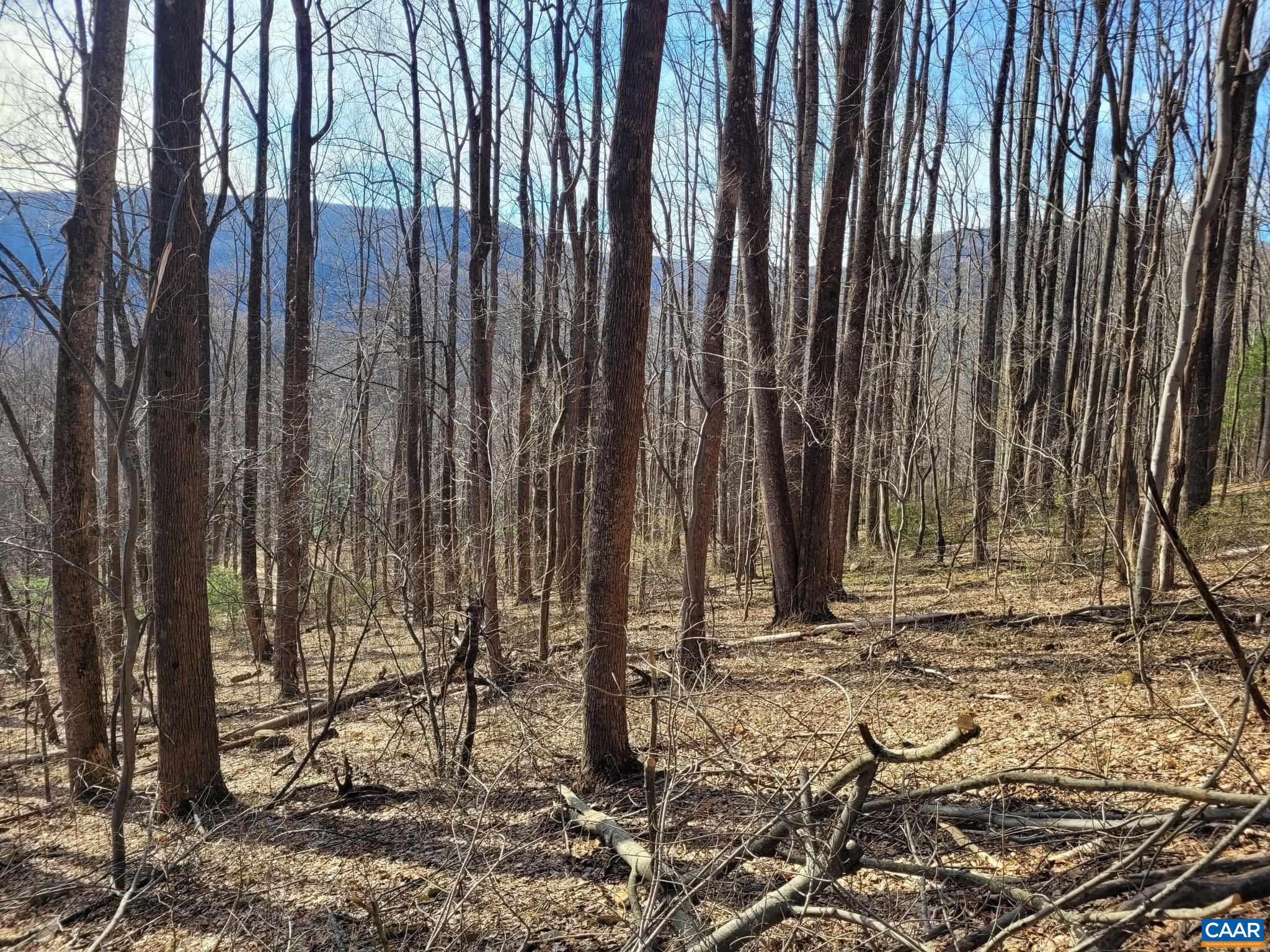 NONE AVAILABLE - Land