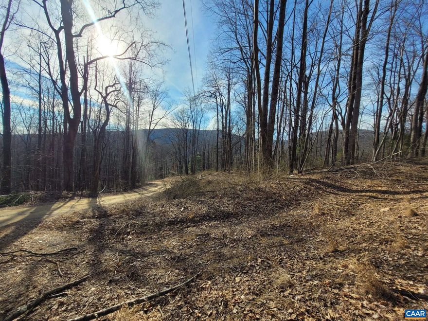 Tucked away in the Blue Ridge Mountains near the Rapidan Wildlife Management Area, this 3.31-acre wooded lot offers the ideal setting for a private retreat. Enjoy seasonal mountain views, with the potential for breathtaking year-round vistas through selective tree clearing. Positioned between two driveways for easy access, this property is approved for a 3-bedroom septic system and was recently surveyed in 2022, making it a fantastic opportunity to build your dream mountain escape. If you're looking for seclusion and natural beauty, this is your chance to own a piece of unspoiled wilderness. Schedule your visit today!