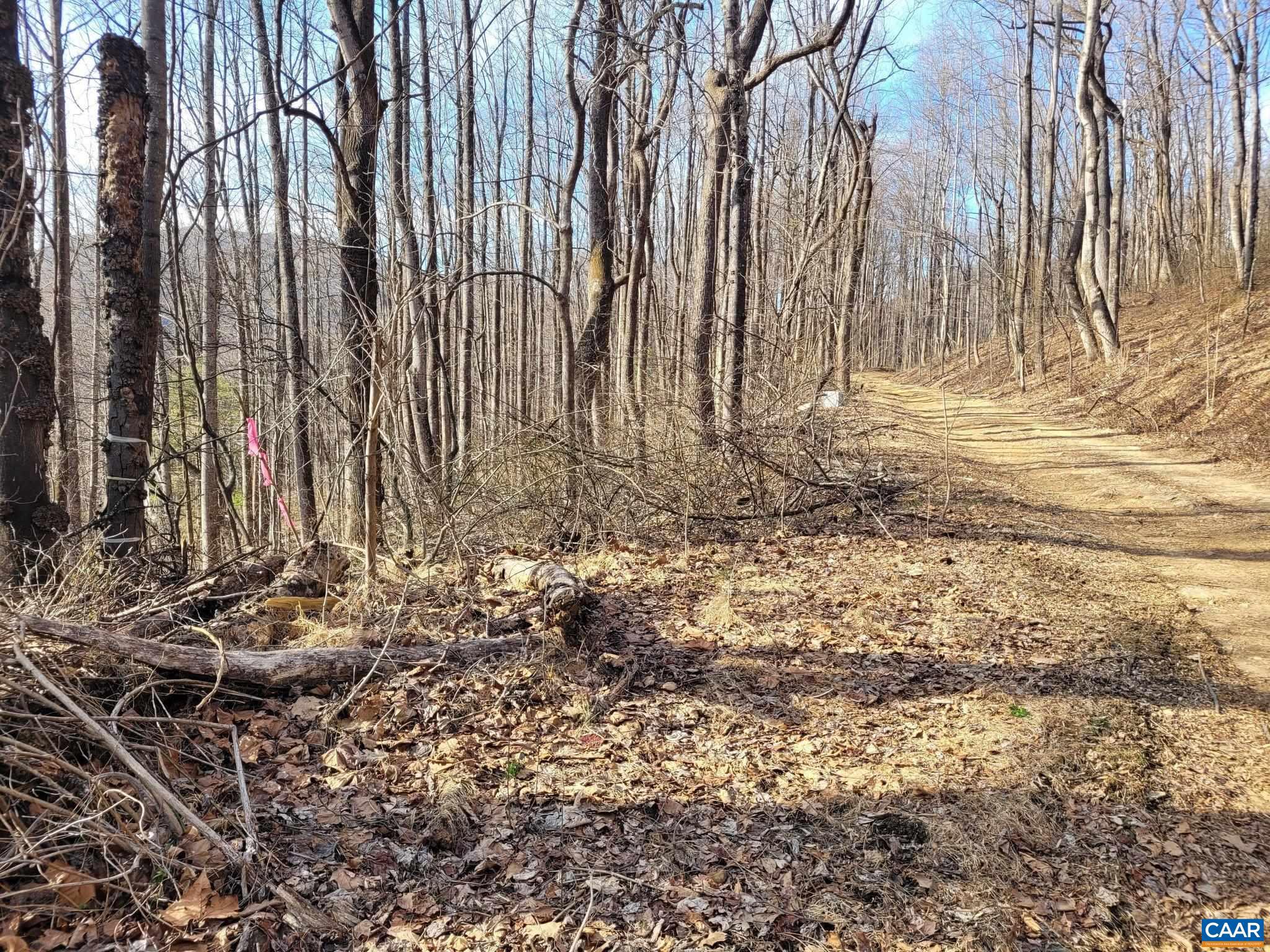 NONE AVAILABLE - Land