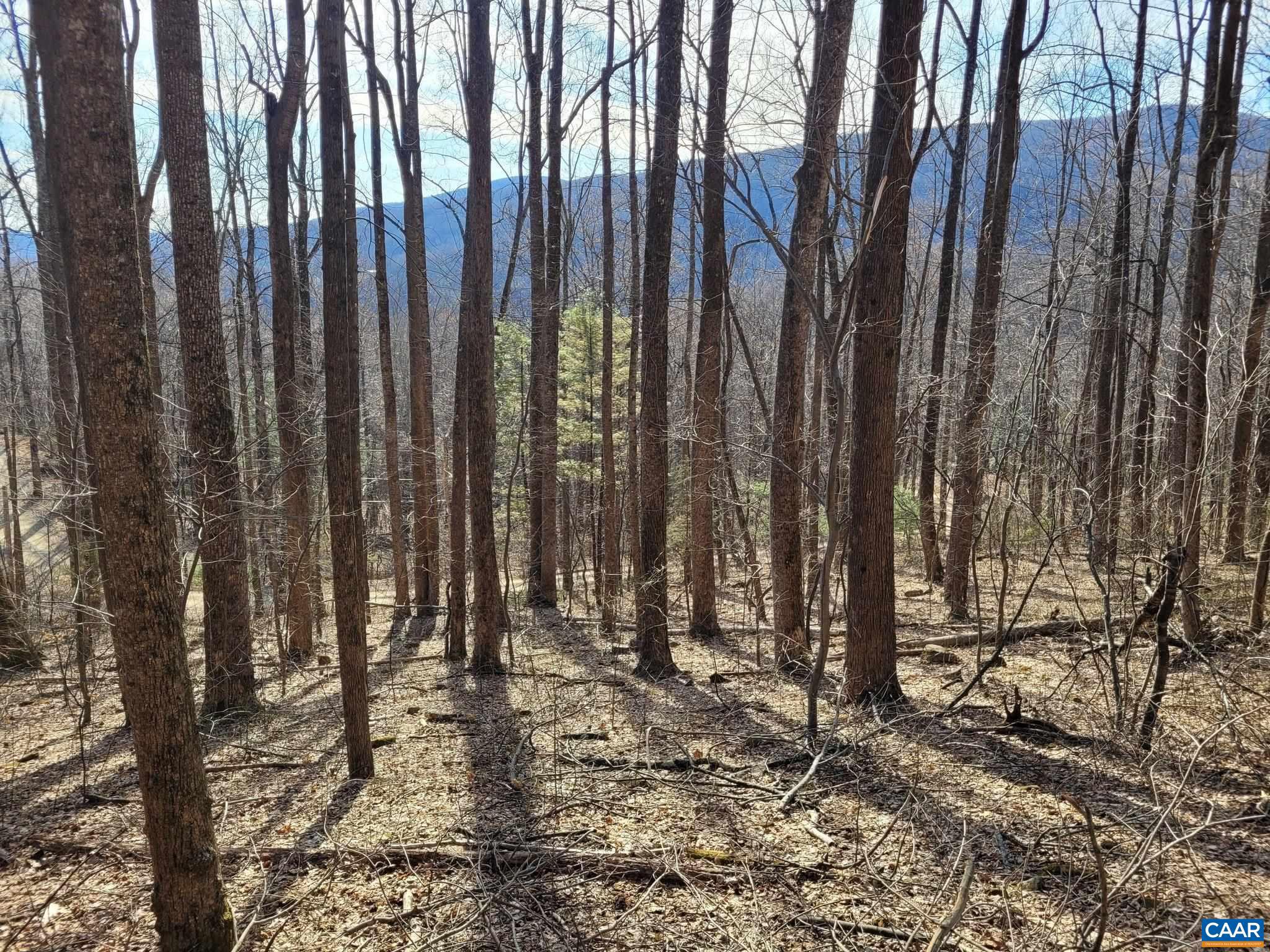 NONE AVAILABLE - Land