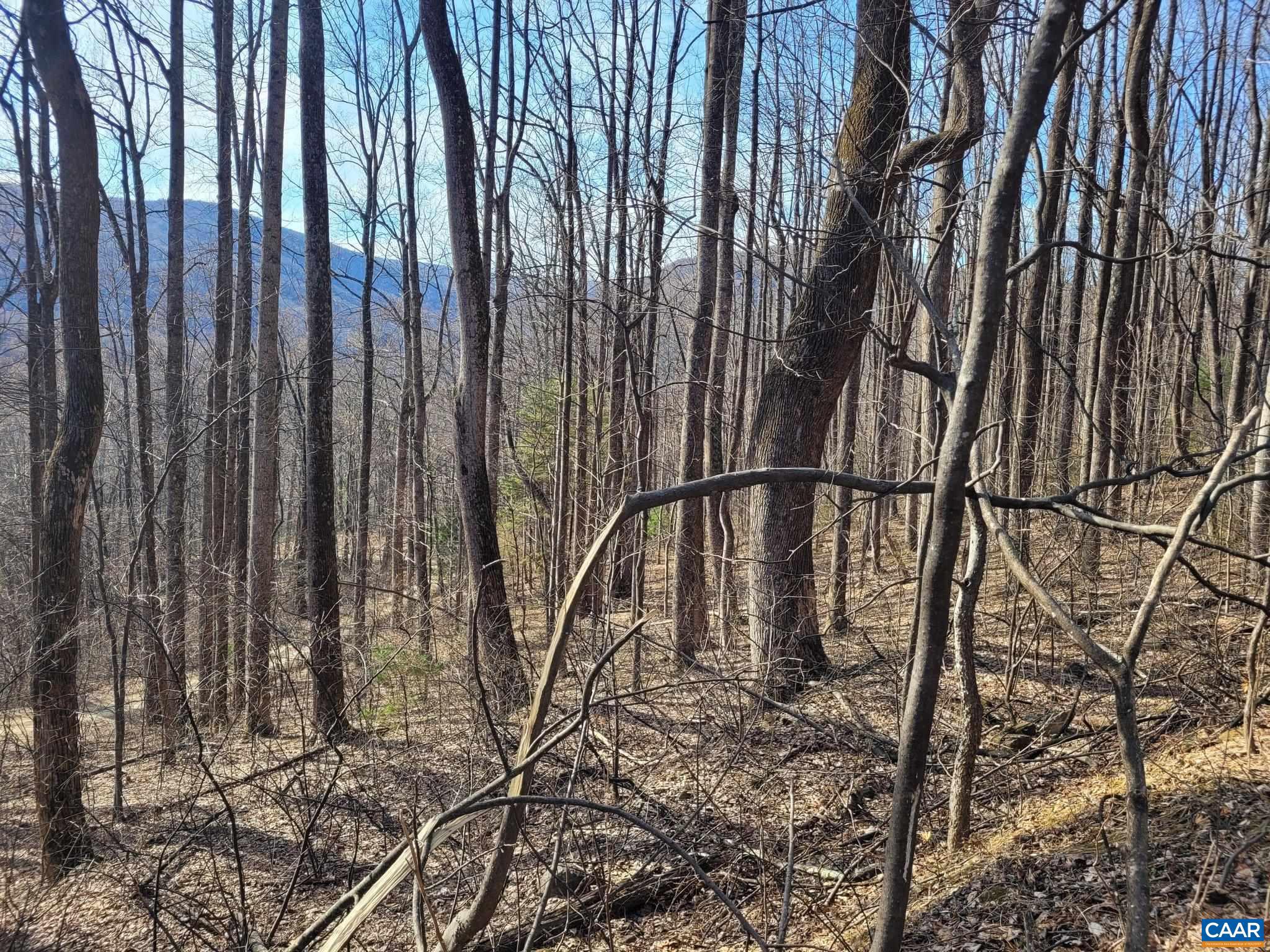 NONE AVAILABLE - Land