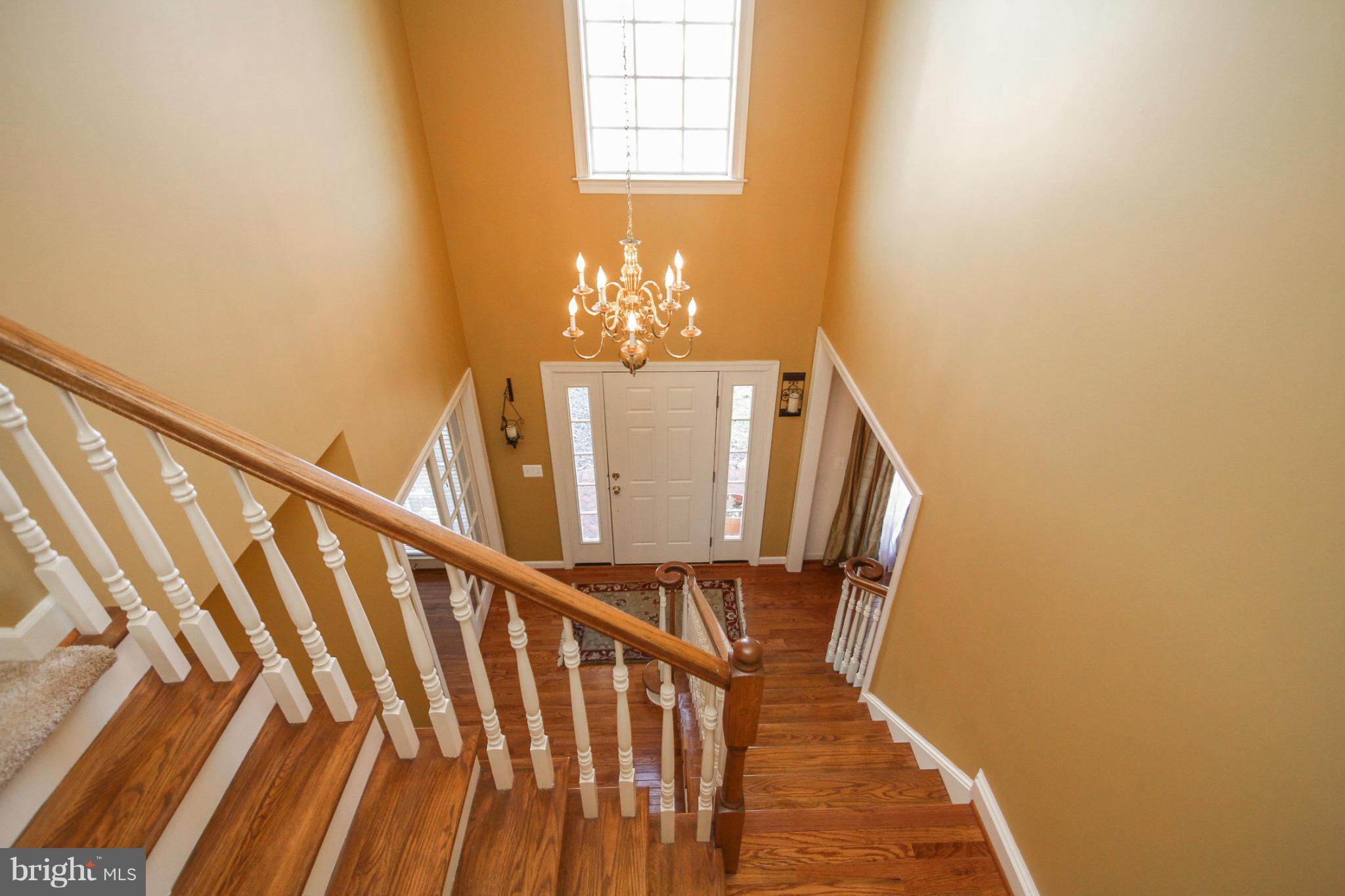 THE WOODS AT WARRENTON - Residential