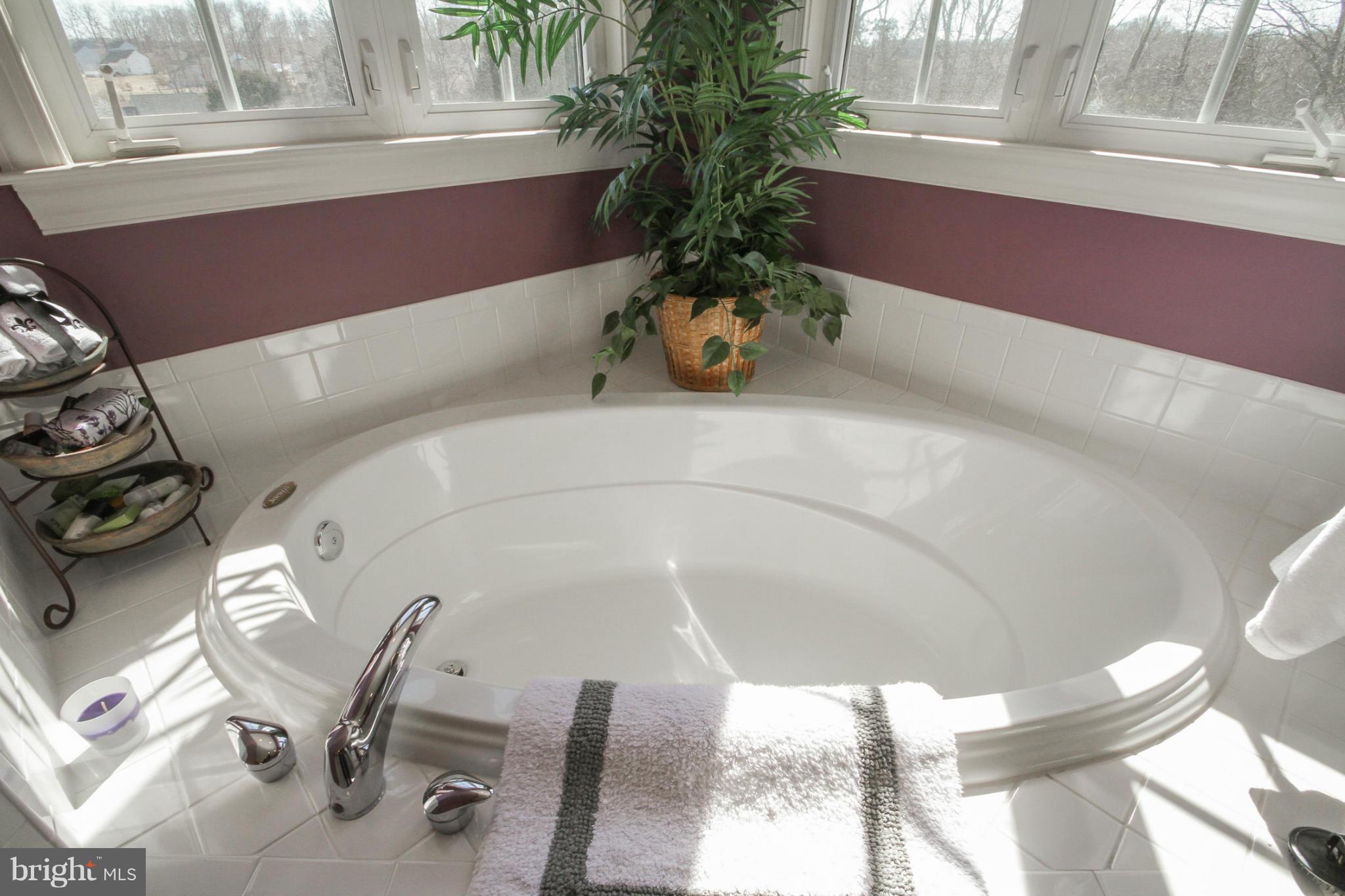 THE WOODS AT WARRENTON - Residential