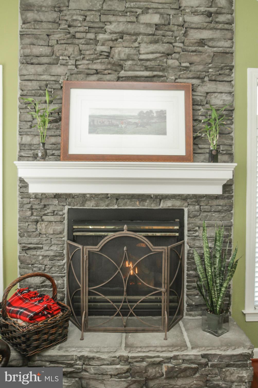 THE WOODS AT WARRENTON - Residential