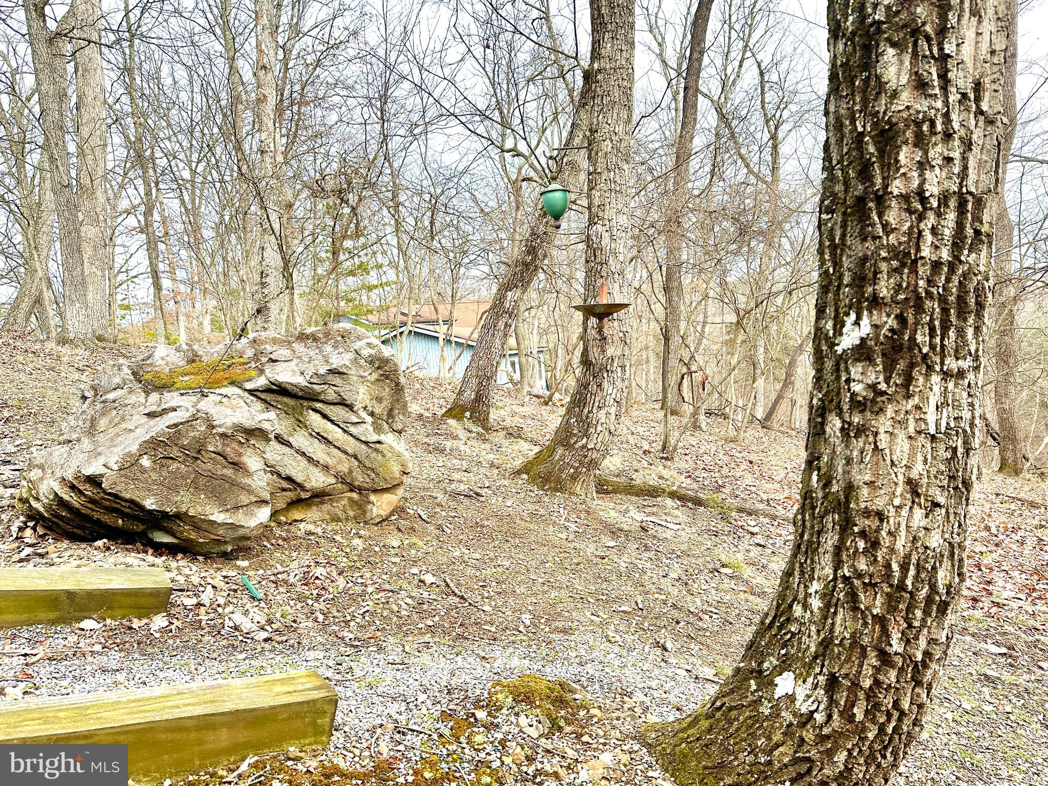 THE WOODS - Residential