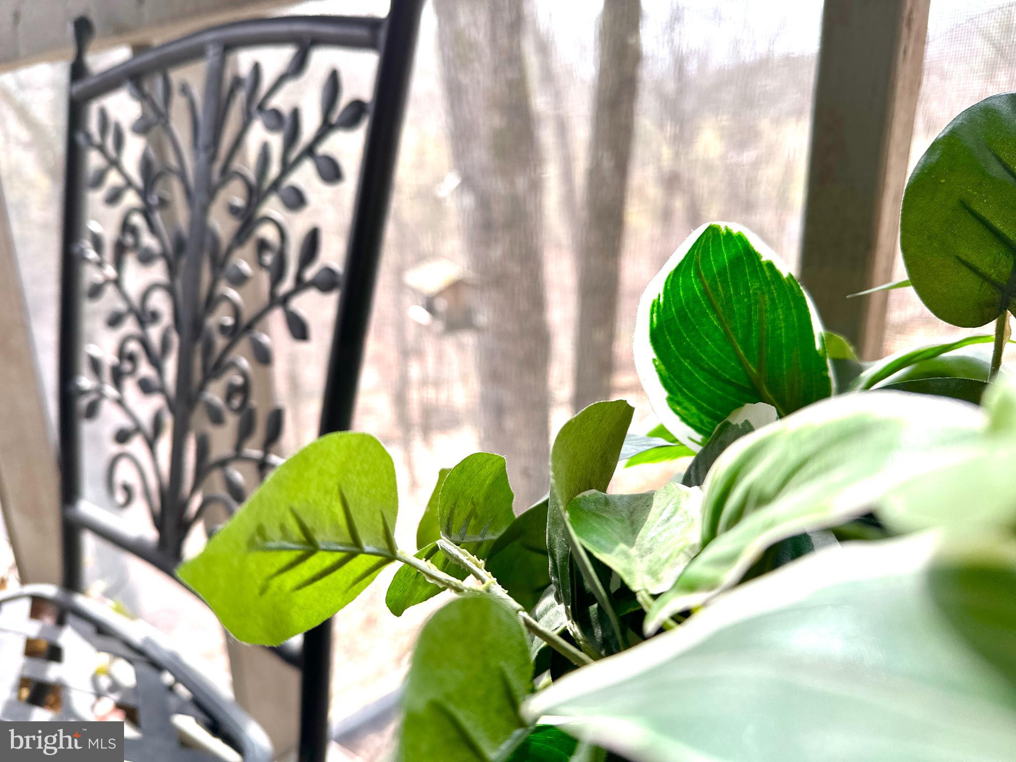 THE WOODS - Residential