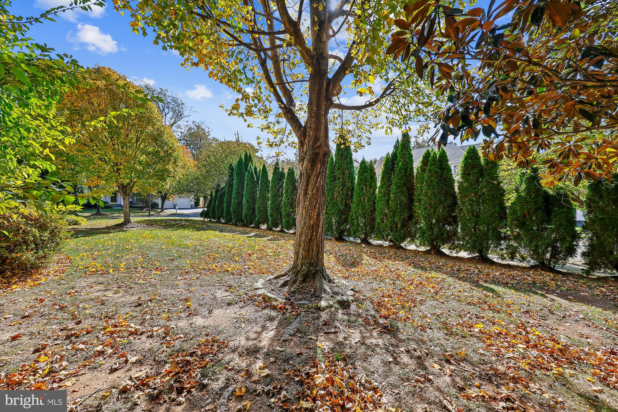 POTOMAC REGENCY - Residential