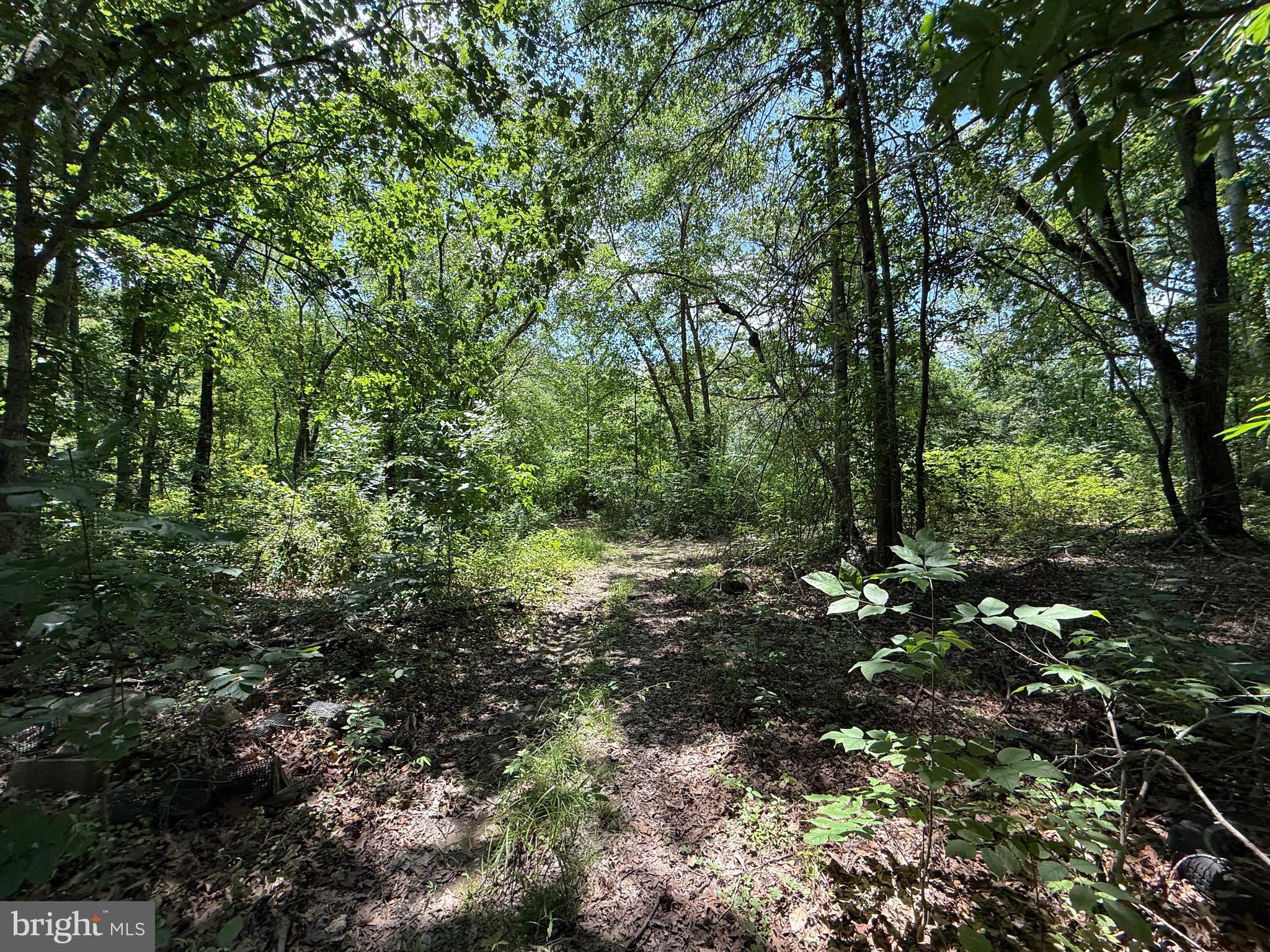 1533 MITCHELL LANE A